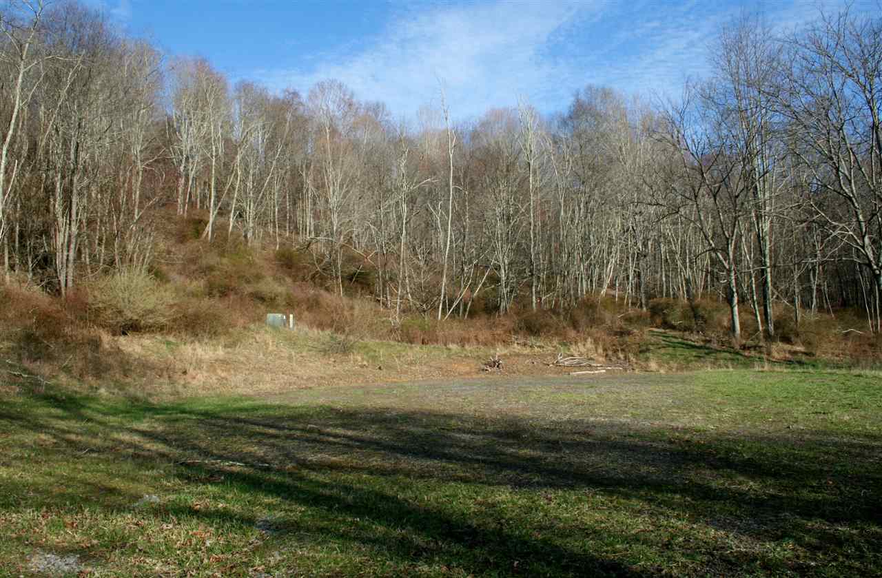 Lot 10 Low Hill NW Jackson River Rd, Monterey, Virginia, 24465 Real