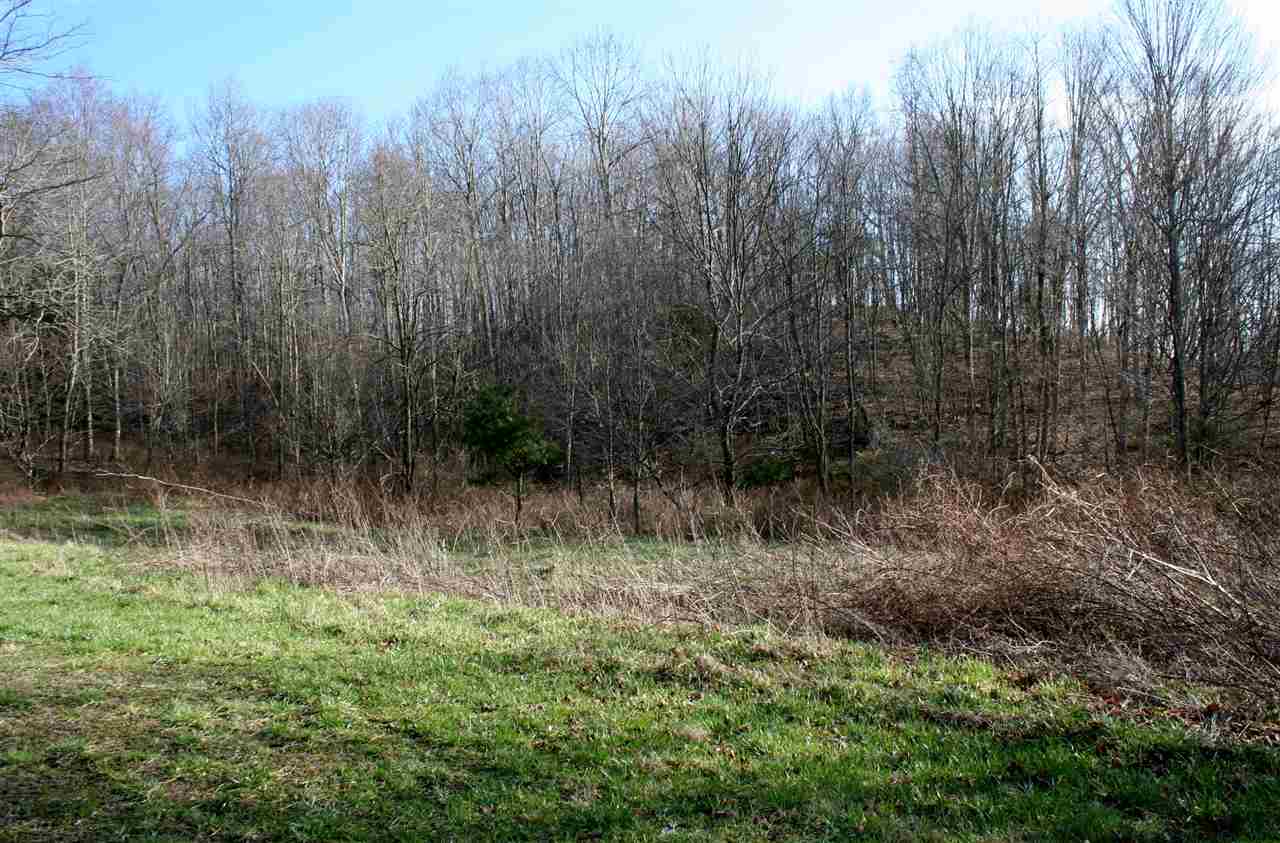 Lot 10 Low Hill NW Jackson River Rd, Monterey, Virginia, 24465 Real