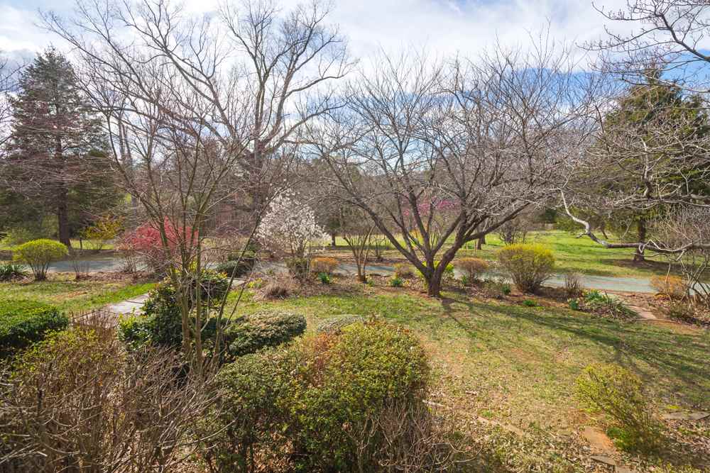 4051 Irish Rd, Schuyler, 22969 Real Estate PlusReal Estate Plus