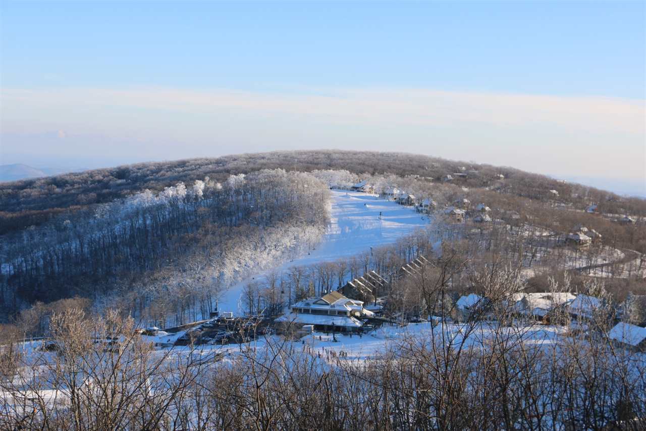 333 Dobie Condos 333, Wintergreen Resort, 22967 Real Estate PlusReal Estate Plus