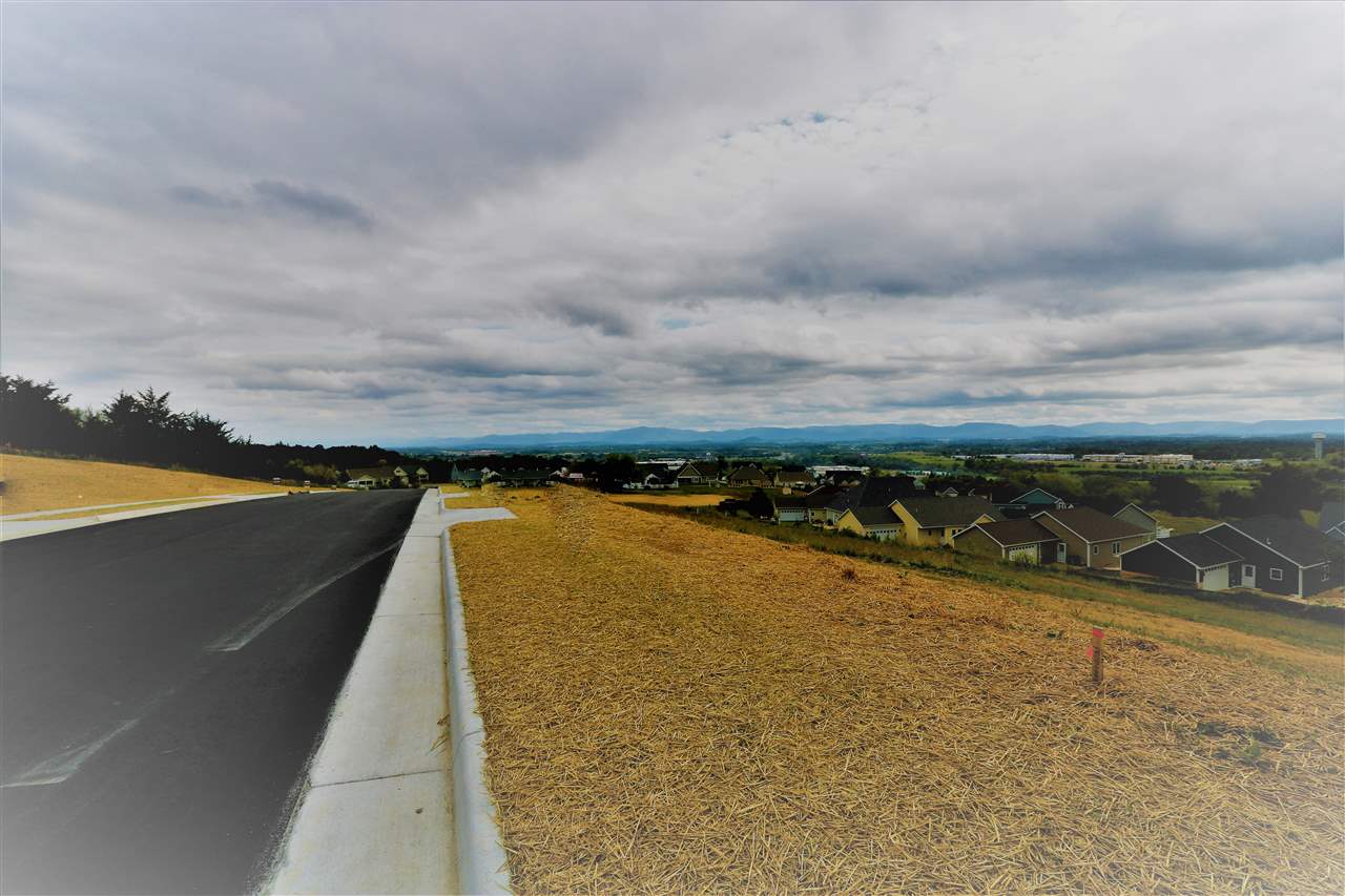 tbd69 Chamberlain Dr 69, Staunton, Virginia, 24401 Real Estate