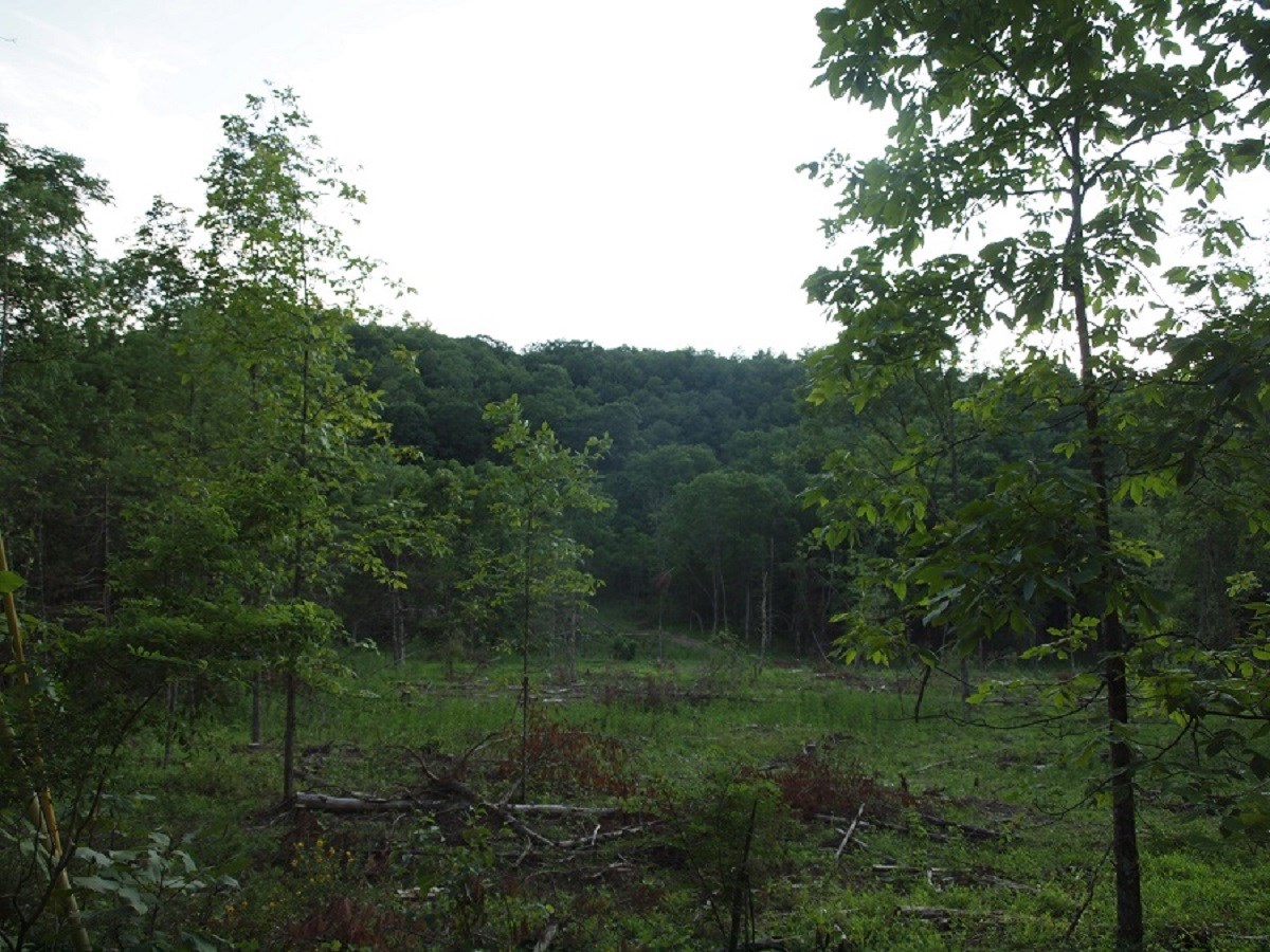 1864 Millers Run Rd, Sugar Grove, West Virginia, 26815 Real Estate