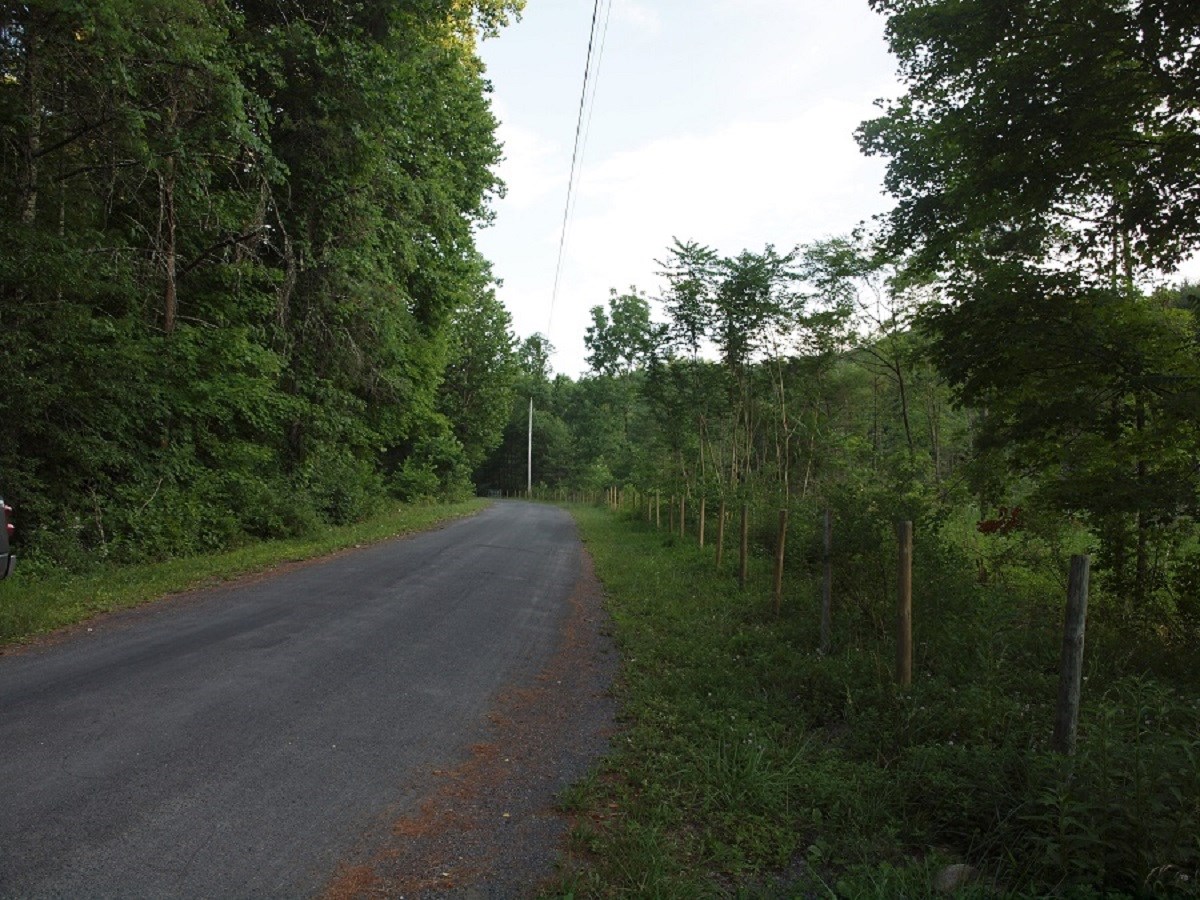 1864 Millers Run Rd, Sugar Grove, West Virginia, 26815 Real Estate