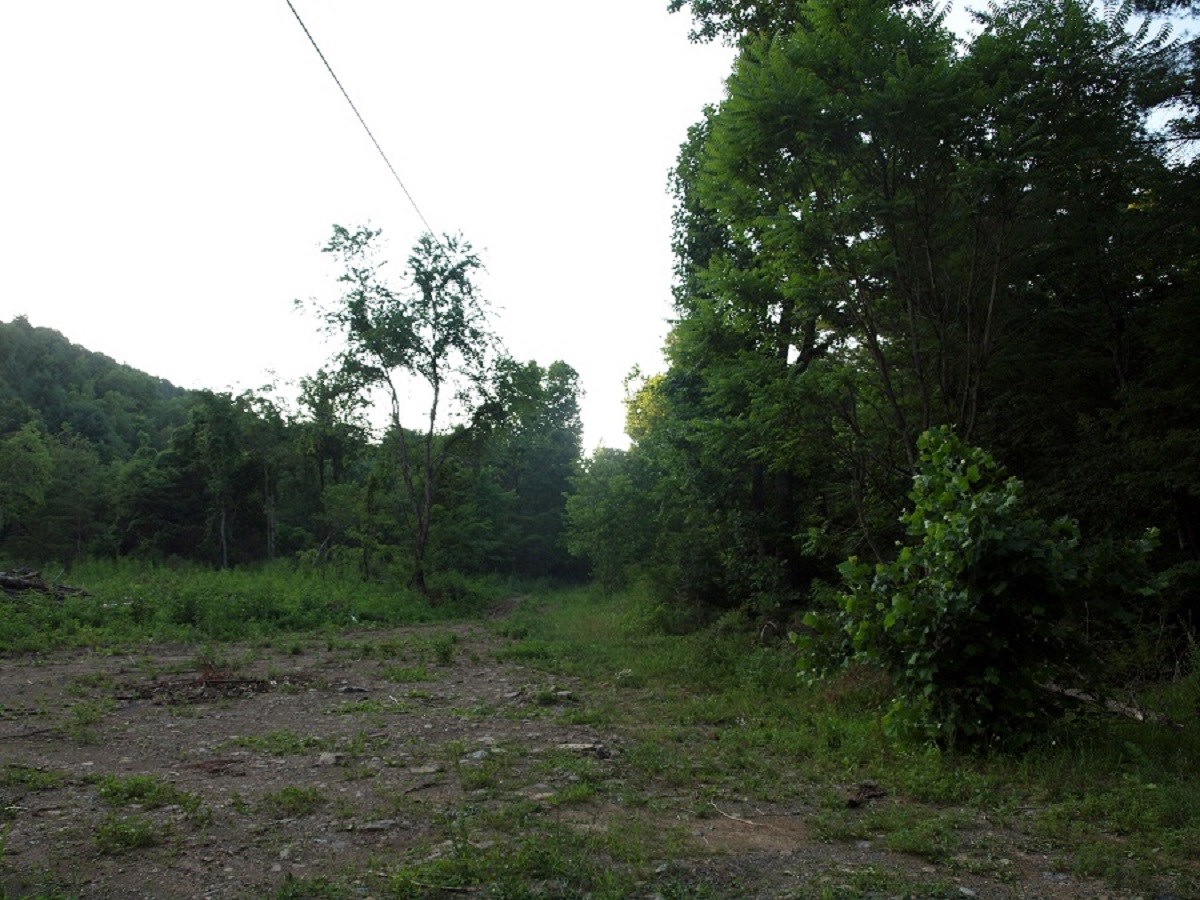 1864 Millers Run Rd, Sugar Grove, West Virginia, 26815 Real Estate