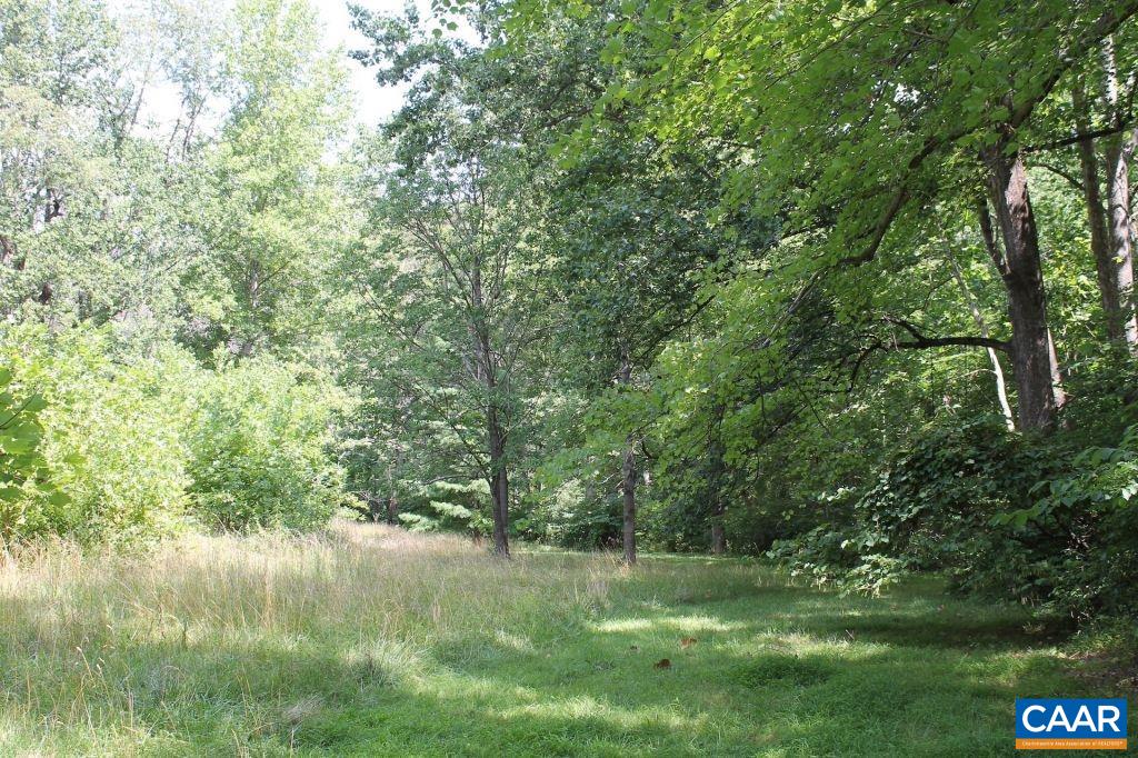 1562 Afton Mountain Rd, Afton, Virginia, 22920 Real Estate PlusReal