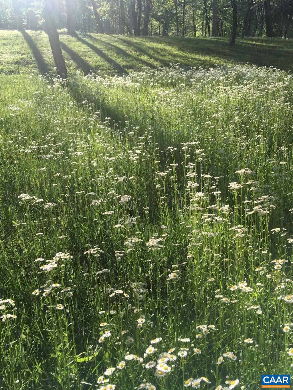 1562 Afton Mountain Rd, Afton, Virginia, 22920 Real Estate PlusReal