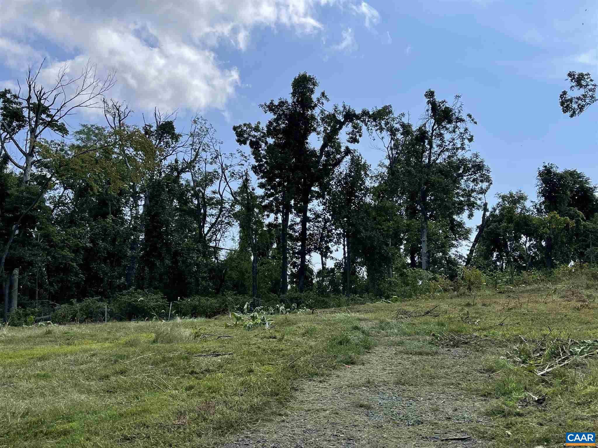 2 Swannanoa Ln, Afton, Virginia, 22920 Real Estate PlusReal Estate Plus