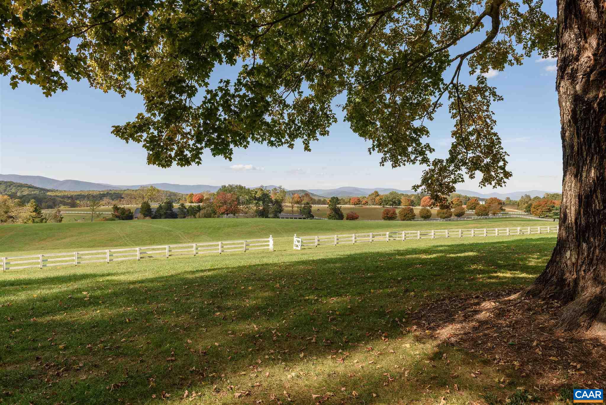 99 Bloomfield Rd, Charlottesville, Virginia, 22903 Real Estate