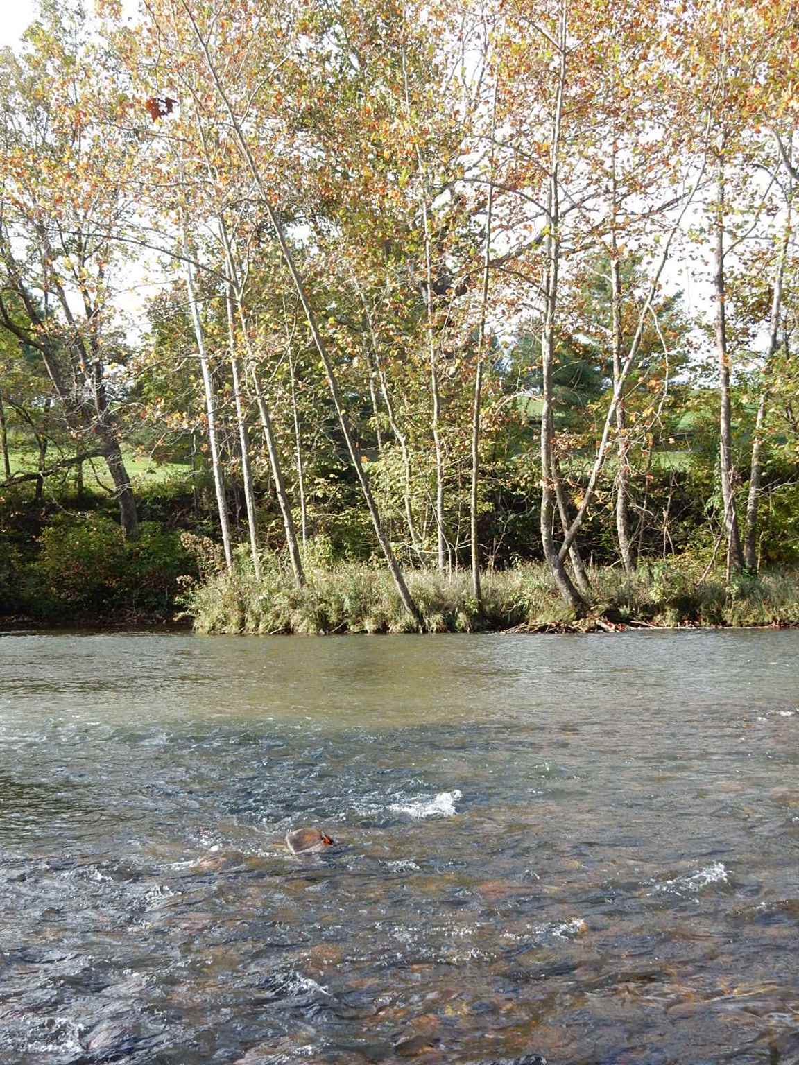 411 Elwood Dr, Falling Spring, Virginia, 24445 Real Estate PlusReal