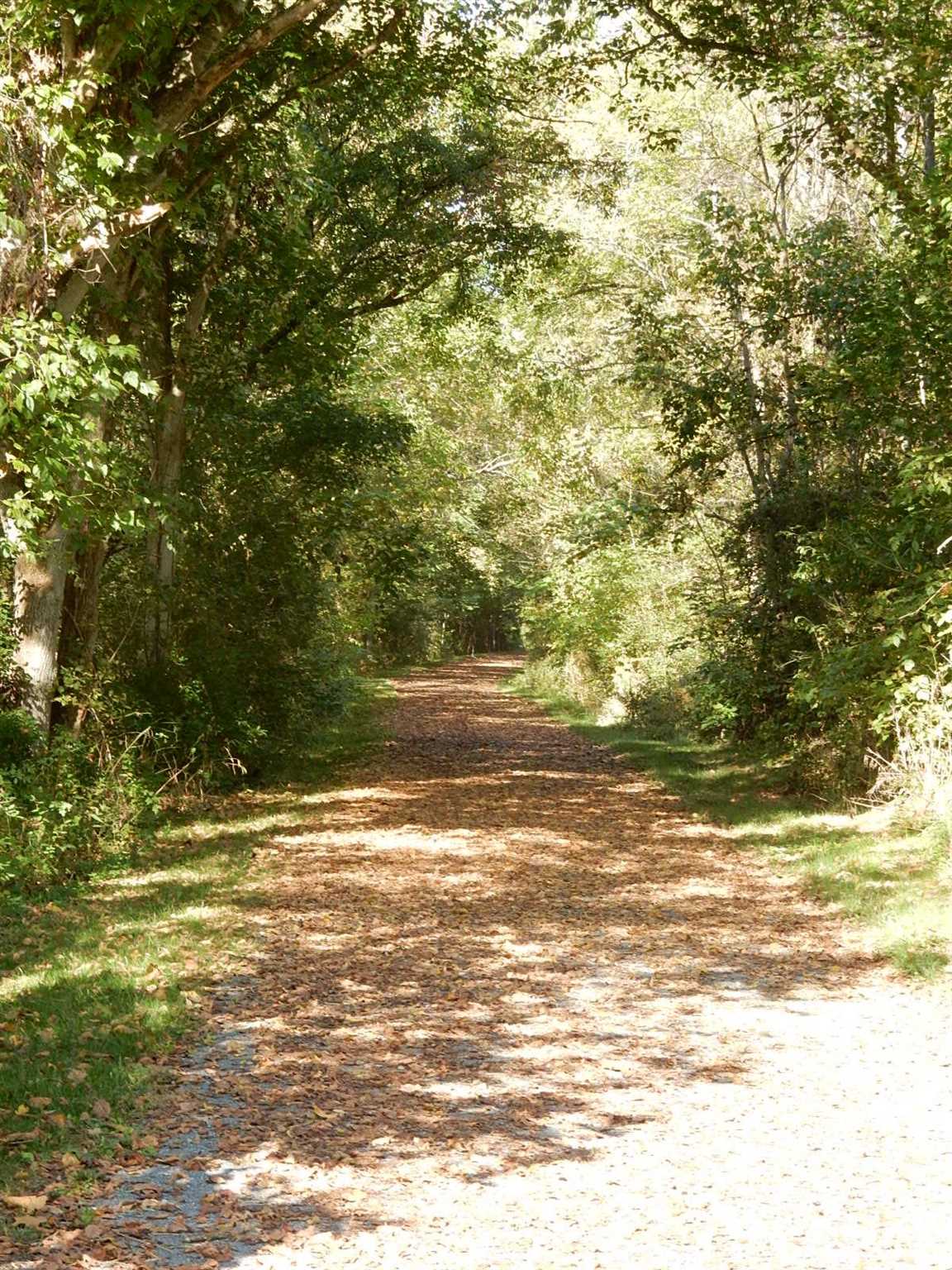 411 Elwood Dr, Falling Spring, Virginia, 24445 Real Estate PlusReal