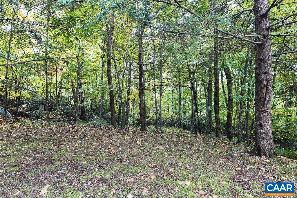 730 Laurelwood Condos, Wintergreen, Virginia, 22967 Real Estate