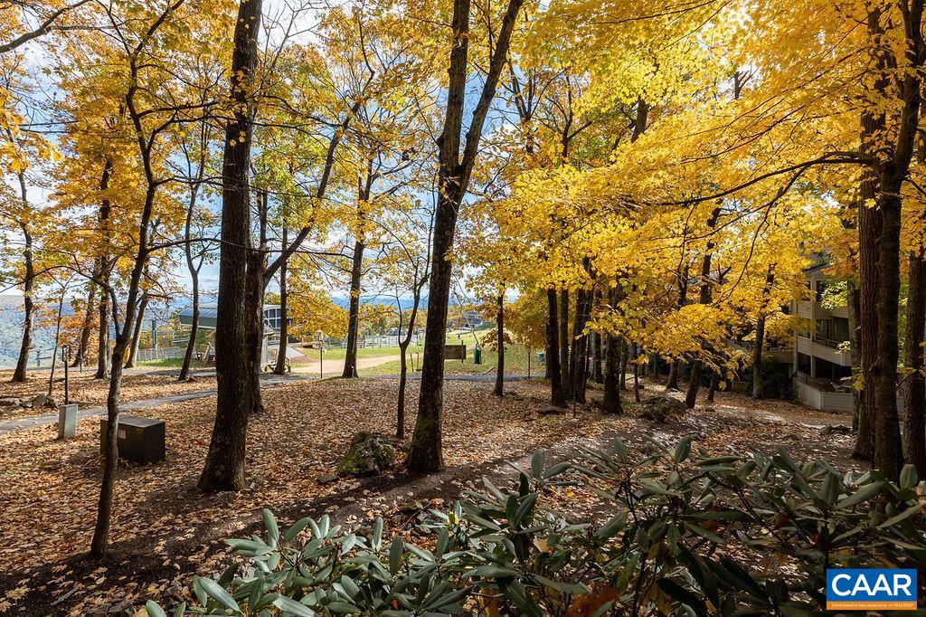 325 Dobie Condos, Wintergreen Resort, Virginia, 22967 Real Estate