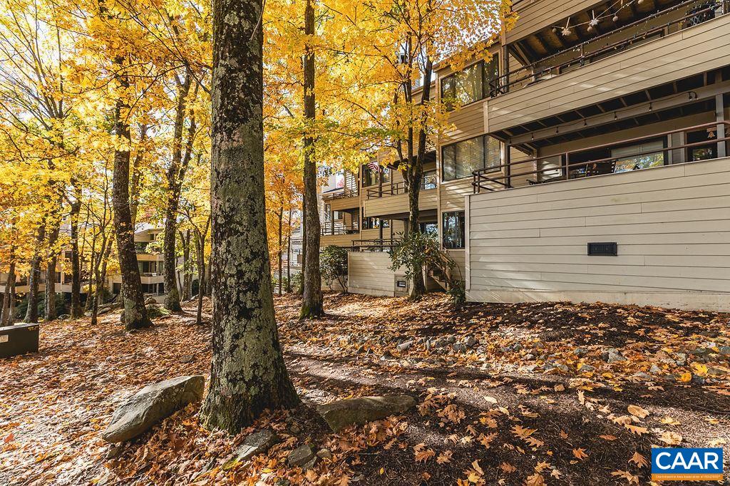 325 Dobie Condos, Wintergreen Resort, Virginia, 22967 Real Estate