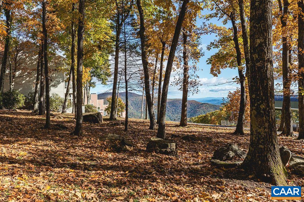 325 Dobie Condos, Wintergreen Resort, Virginia, 22967 Real Estate