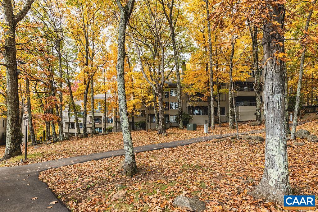 325 Dobie Condos, Wintergreen Resort, Virginia, 22967 Real Estate