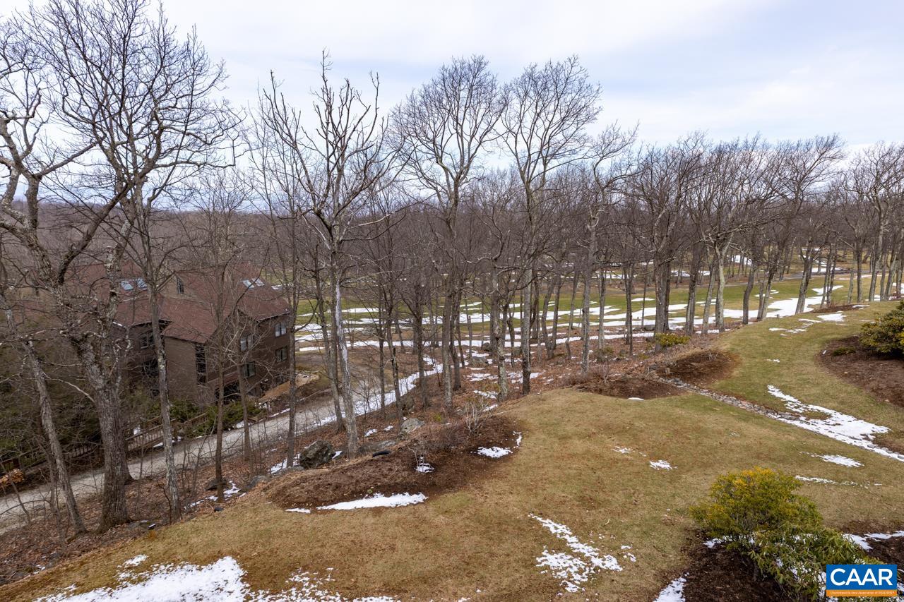 2030 Stone Ridge Condos, Wintergreen Resort, Virginia, 22967 Real