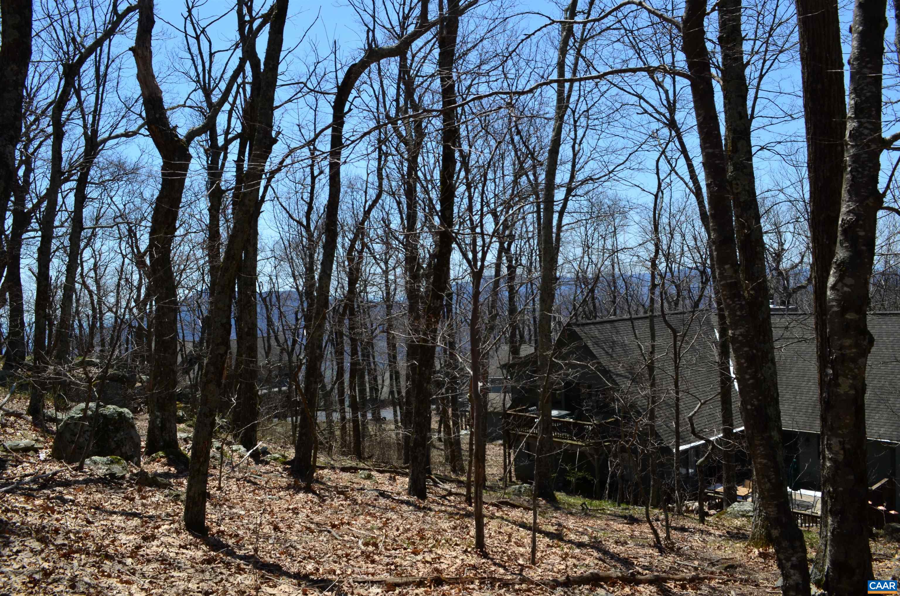 Lot 46 Beech Dr 098A146, Wintergreen Resort, Virginia, 22967 Real