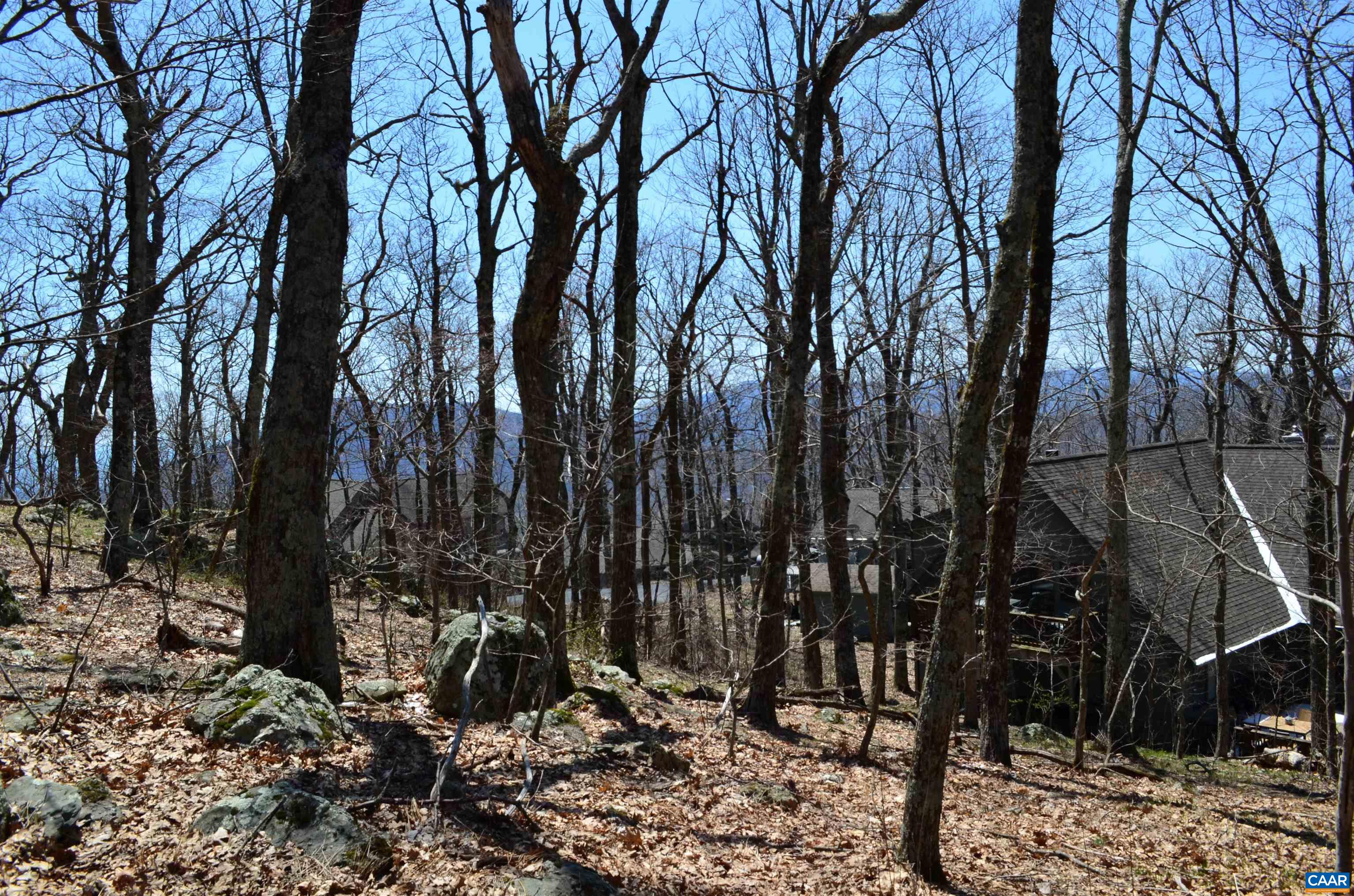 Lot 46 Beech Dr 098A146, Wintergreen Resort, Virginia, 22967 Real