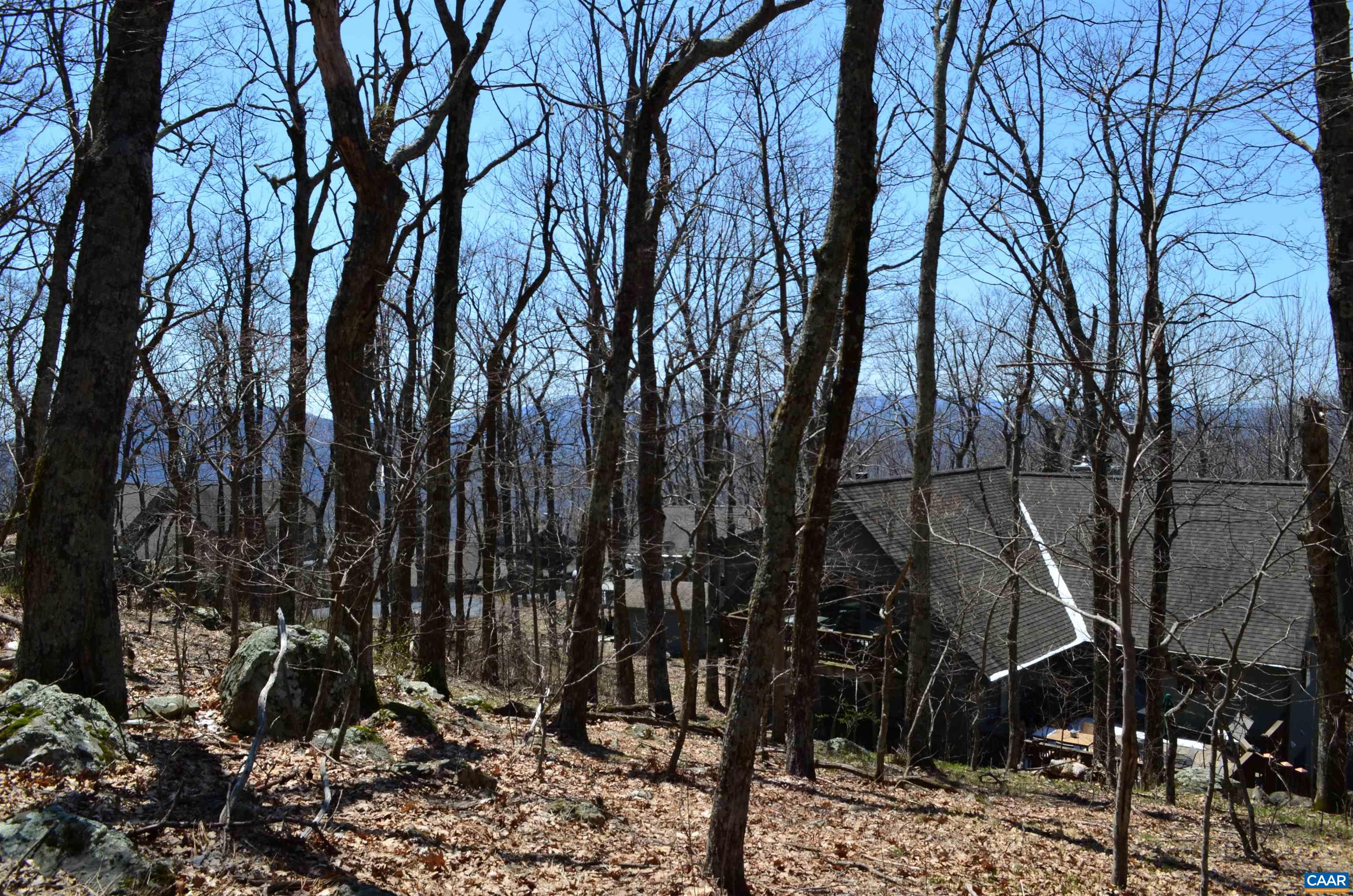 Lot 46 Beech Dr 098A146, Wintergreen Resort, Virginia, 22967 Real