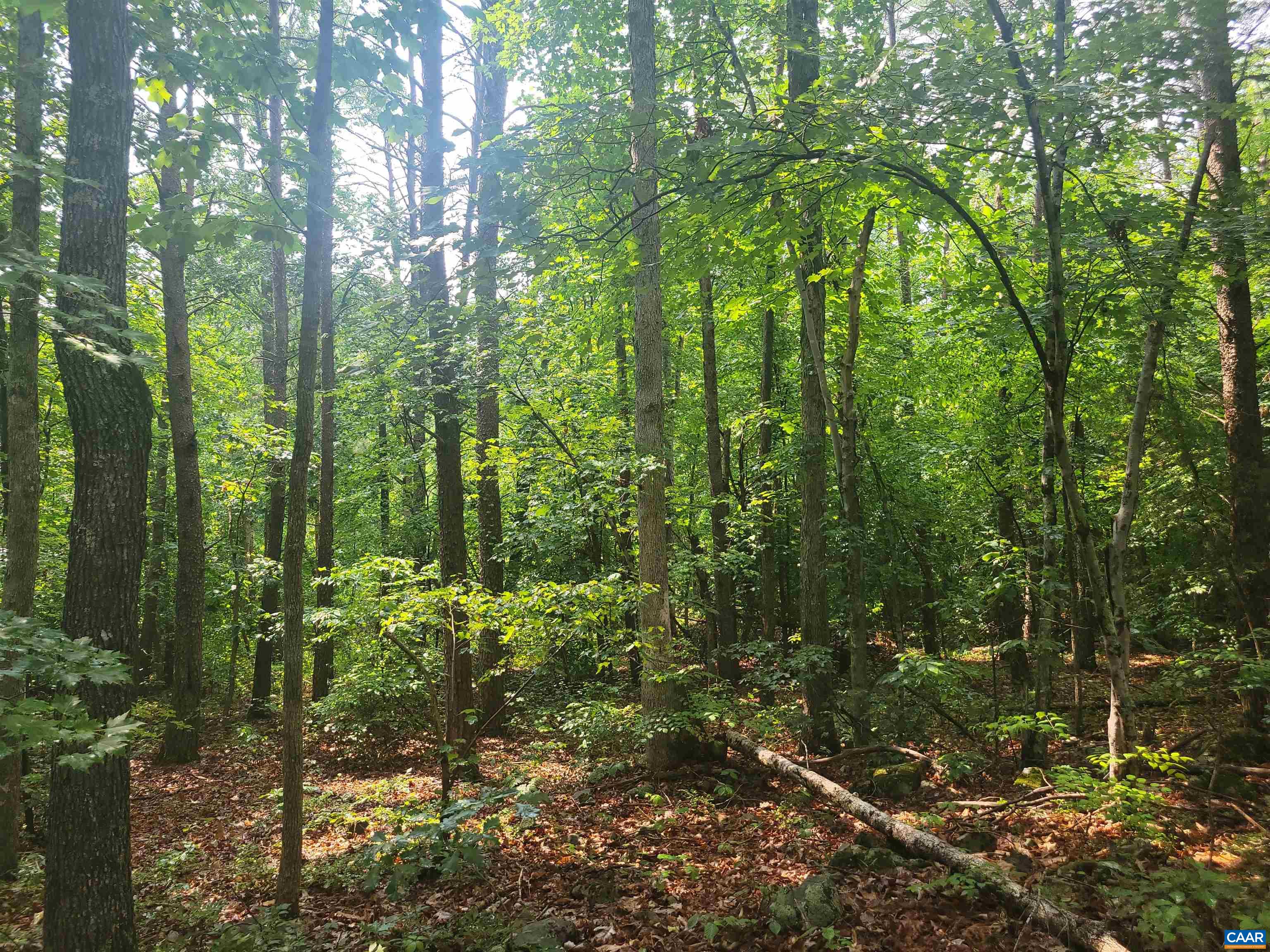 Lot 1 Piney Mtn Glade Rd 24 ac, Shipman, Virginia, 22971 Real Estate