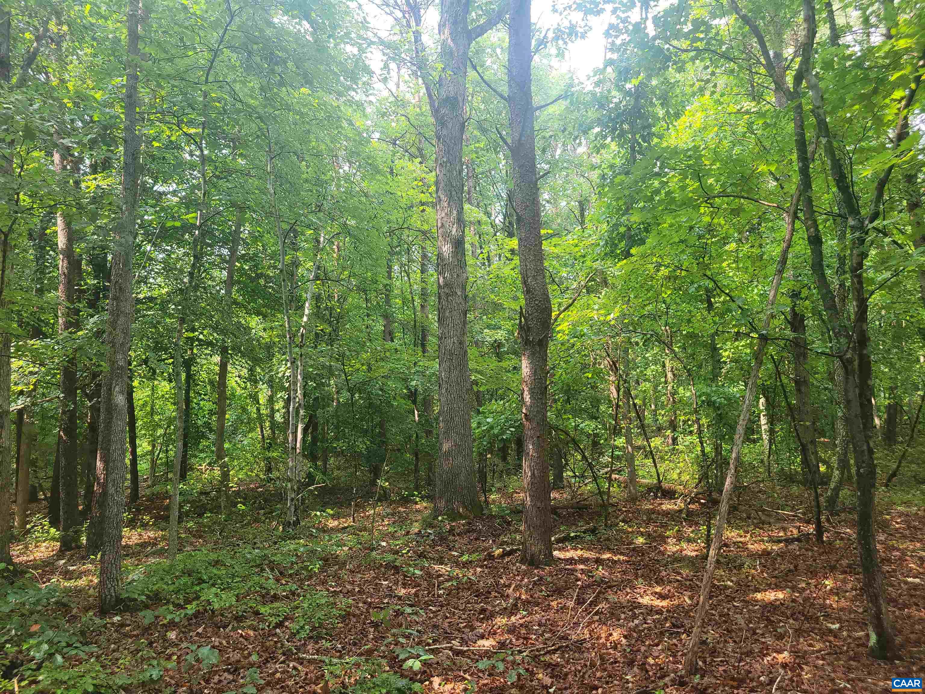 Lot 1 Piney Mtn Glade Rd 24 ac, Shipman, Virginia, 22971 Real Estate