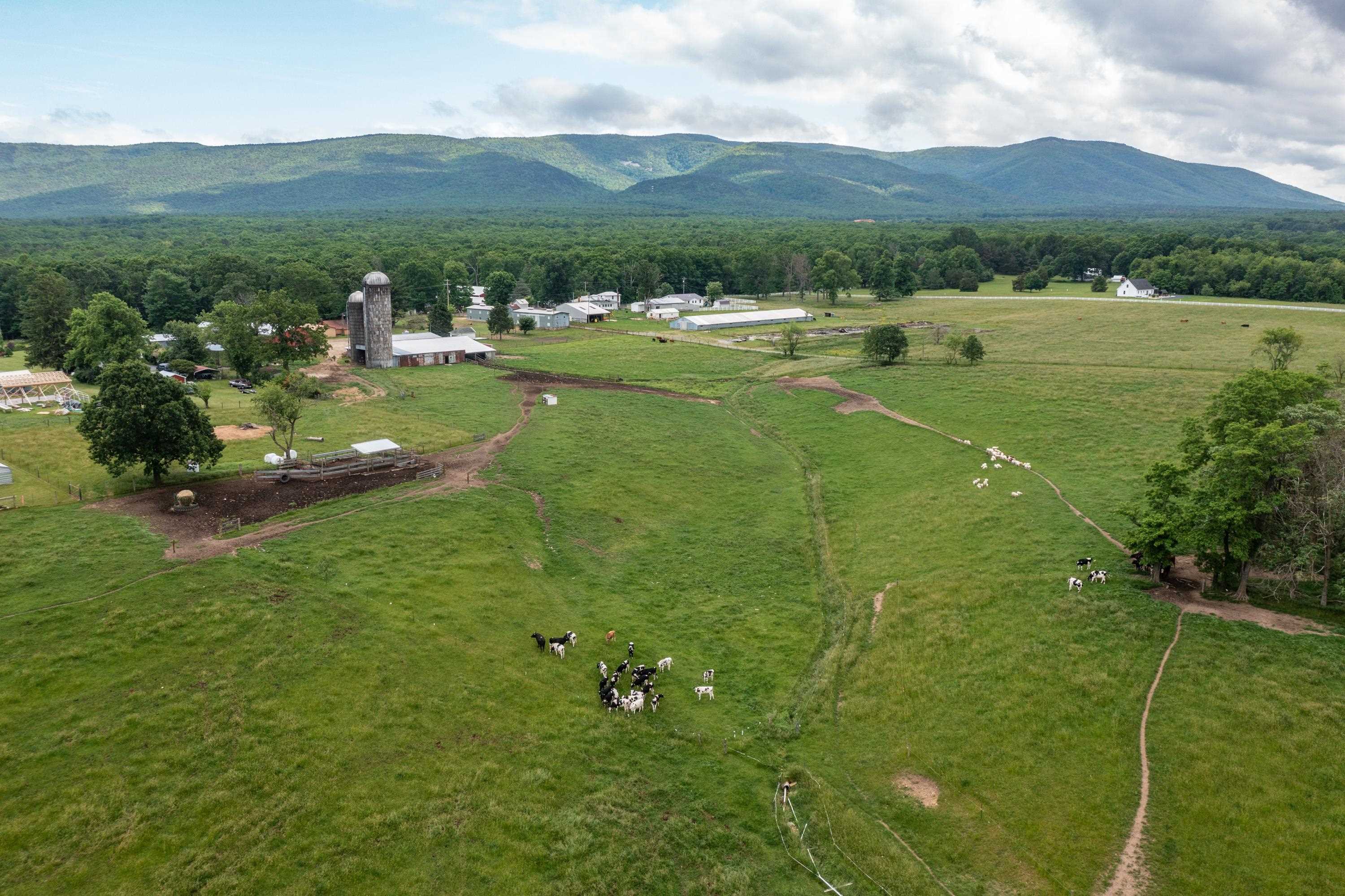 1175 Cold Springs Rd, Stuarts Draft, Virginia, 24477 Real Estate