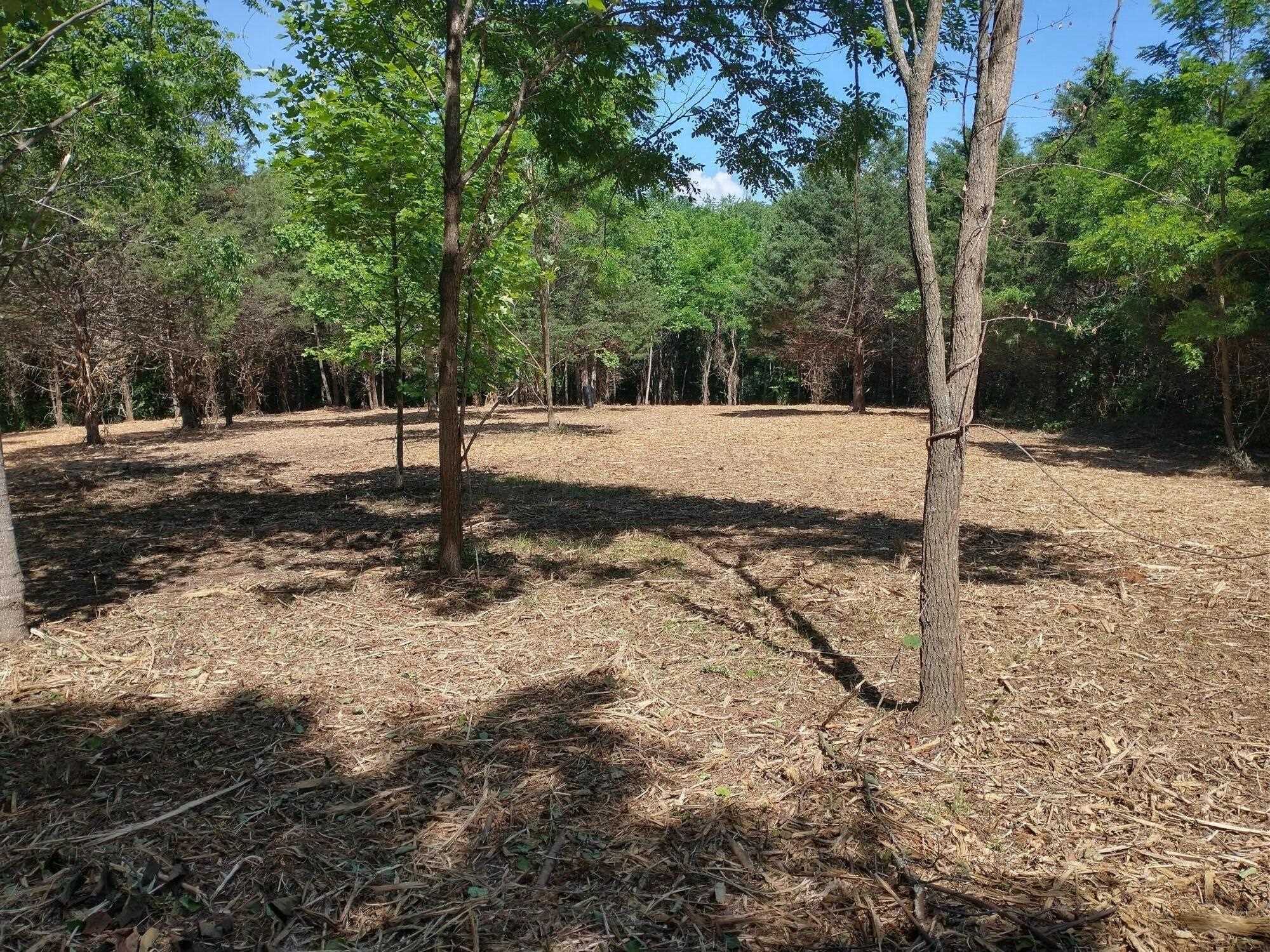 Forest Grove Rd, Lexington, Virginia, 24450 Real Estate PlusReal