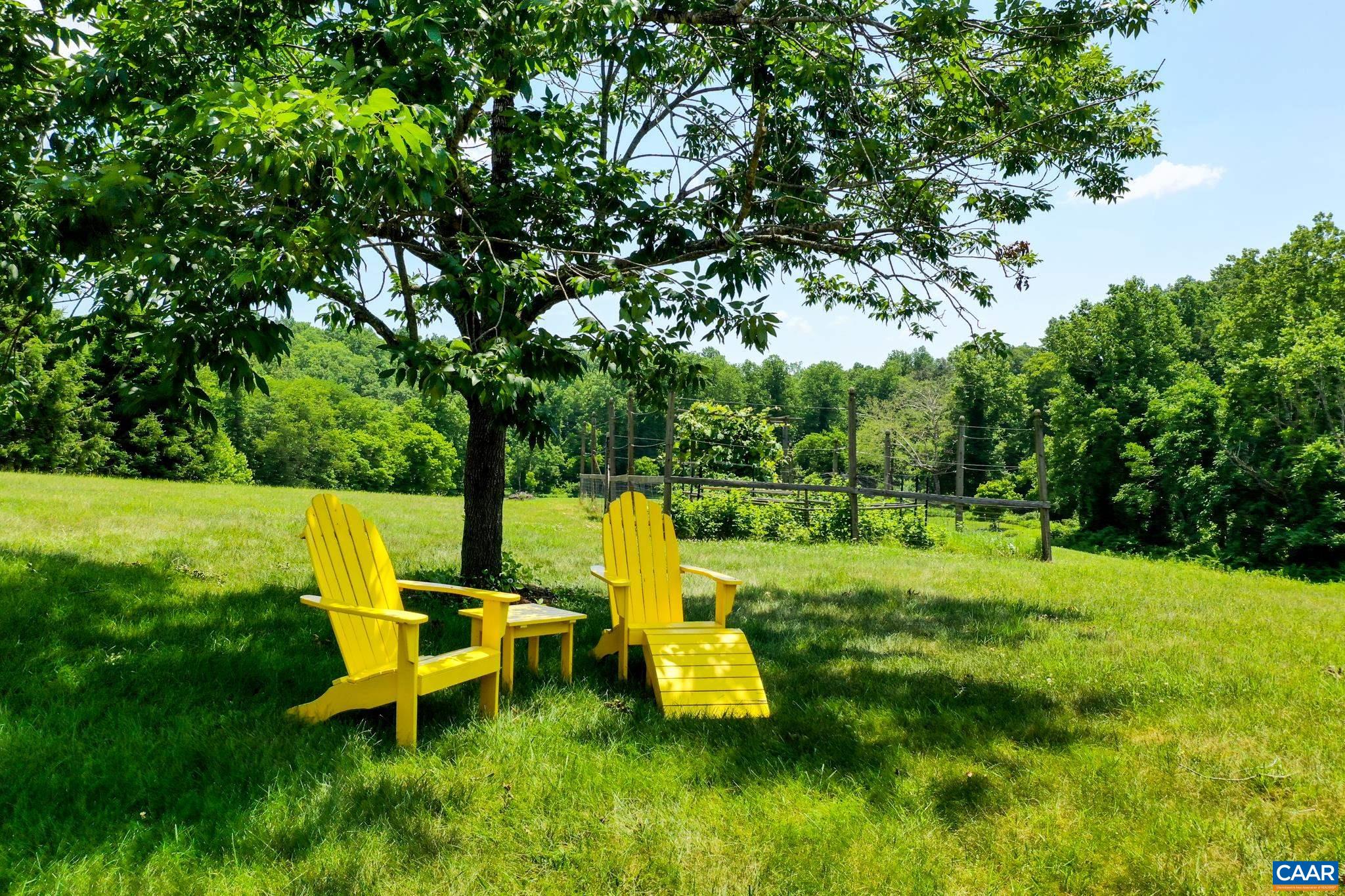 705 Ingleside Ln, Charlottesville, Virginia, 22901 Real Estate