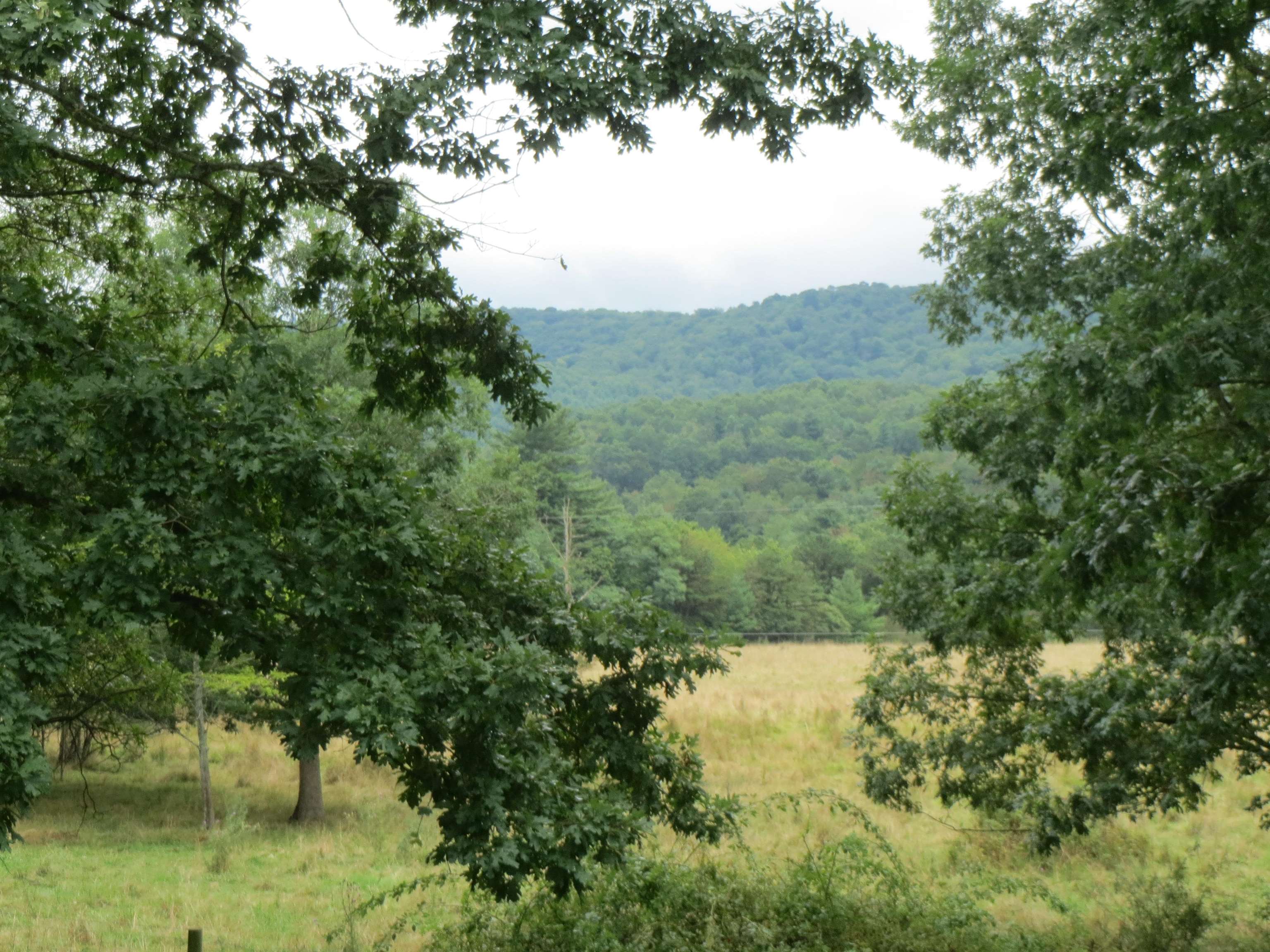 4097 Black Thorn Rd, Sugar Grove, West Virginia, 26815 Real Estate PlusReal Estate Plus