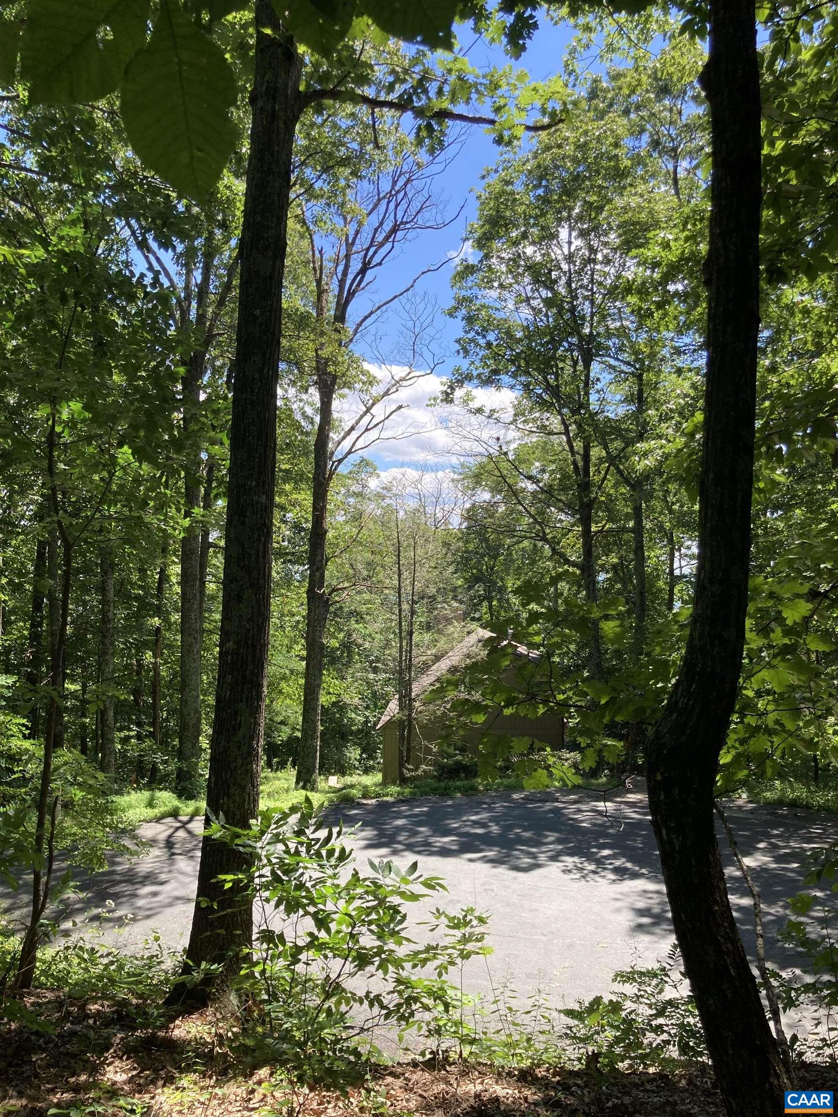 67 Dogwood Rd, Wintergreen Resort, Virginia, 22967 Real Estate