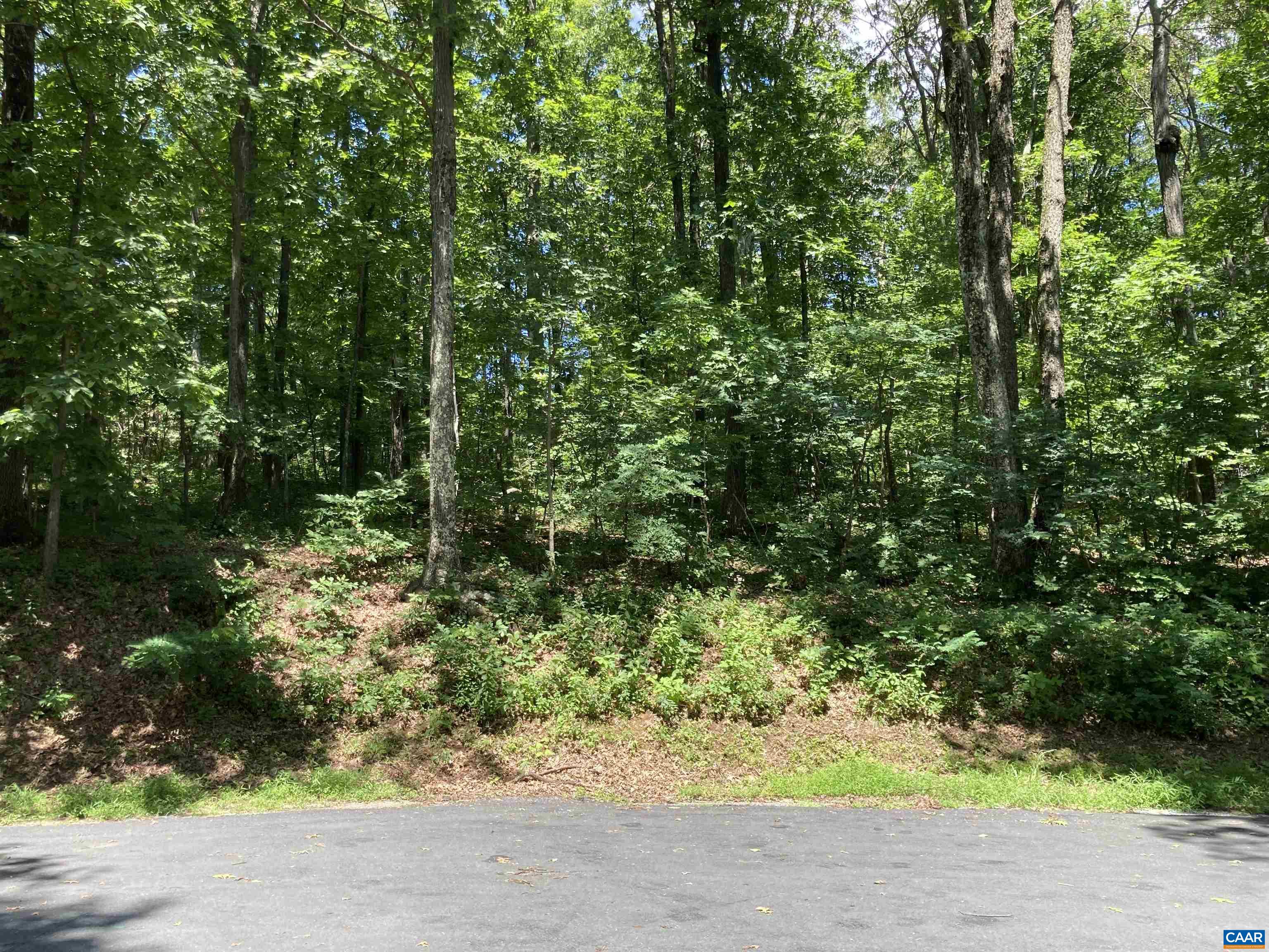 67 Dogwood Rd, Wintergreen Resort, Virginia, 22967 Real Estate