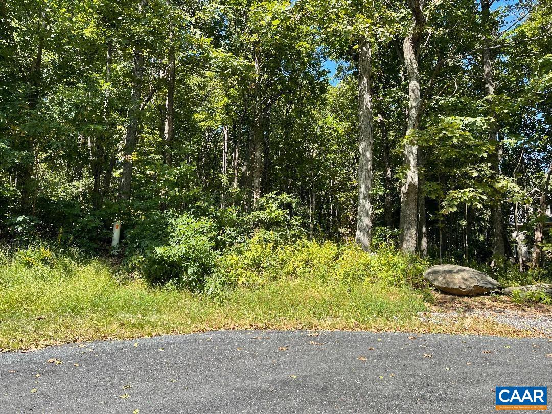 35 Smoke Rise Ln, Wintergreen Resort, Virginia, 22967 Real Estate