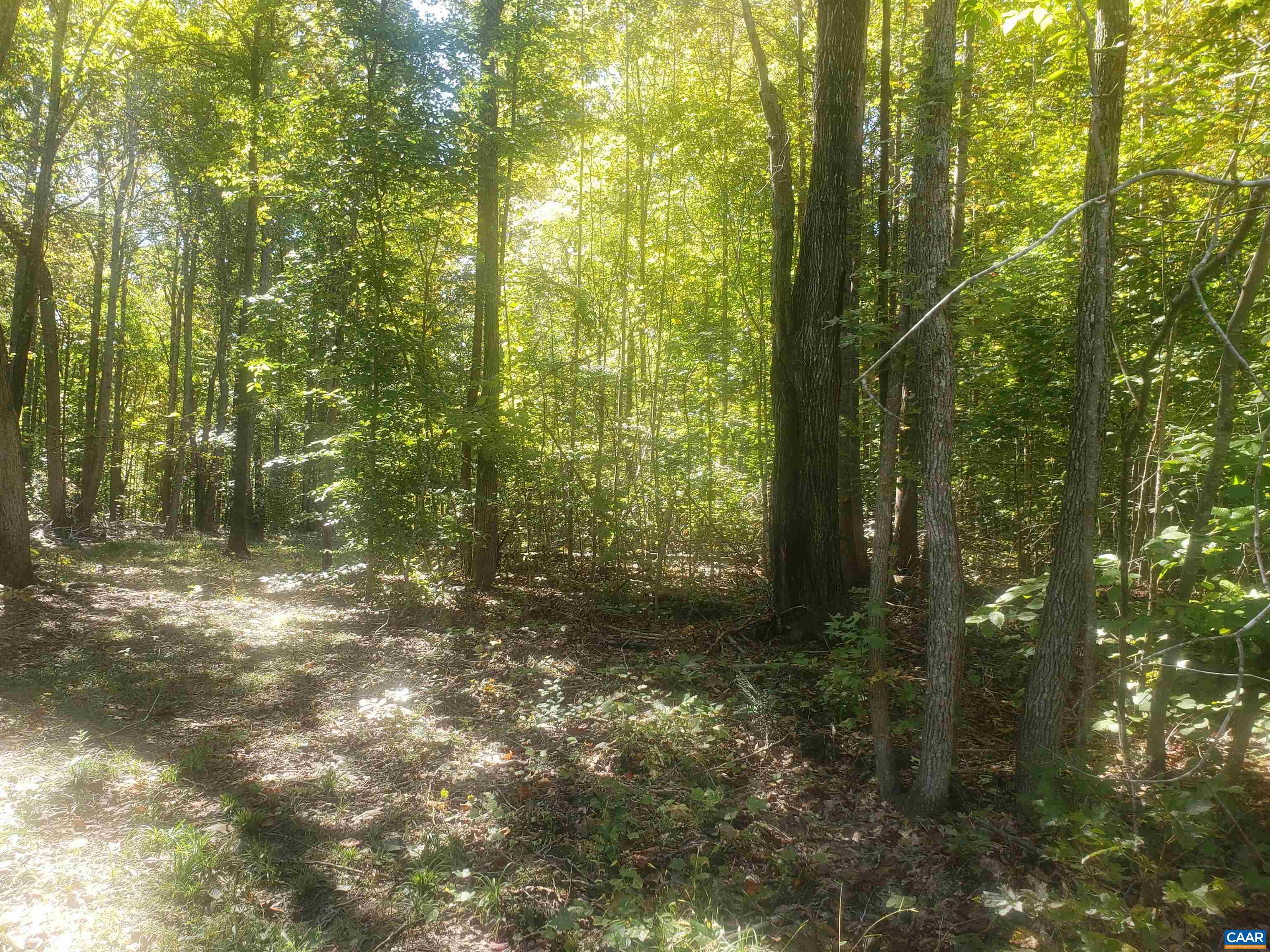 1 Ridgemont Dr, Louisa, Virginia, 23093 Real Estate PlusReal Estate Plus