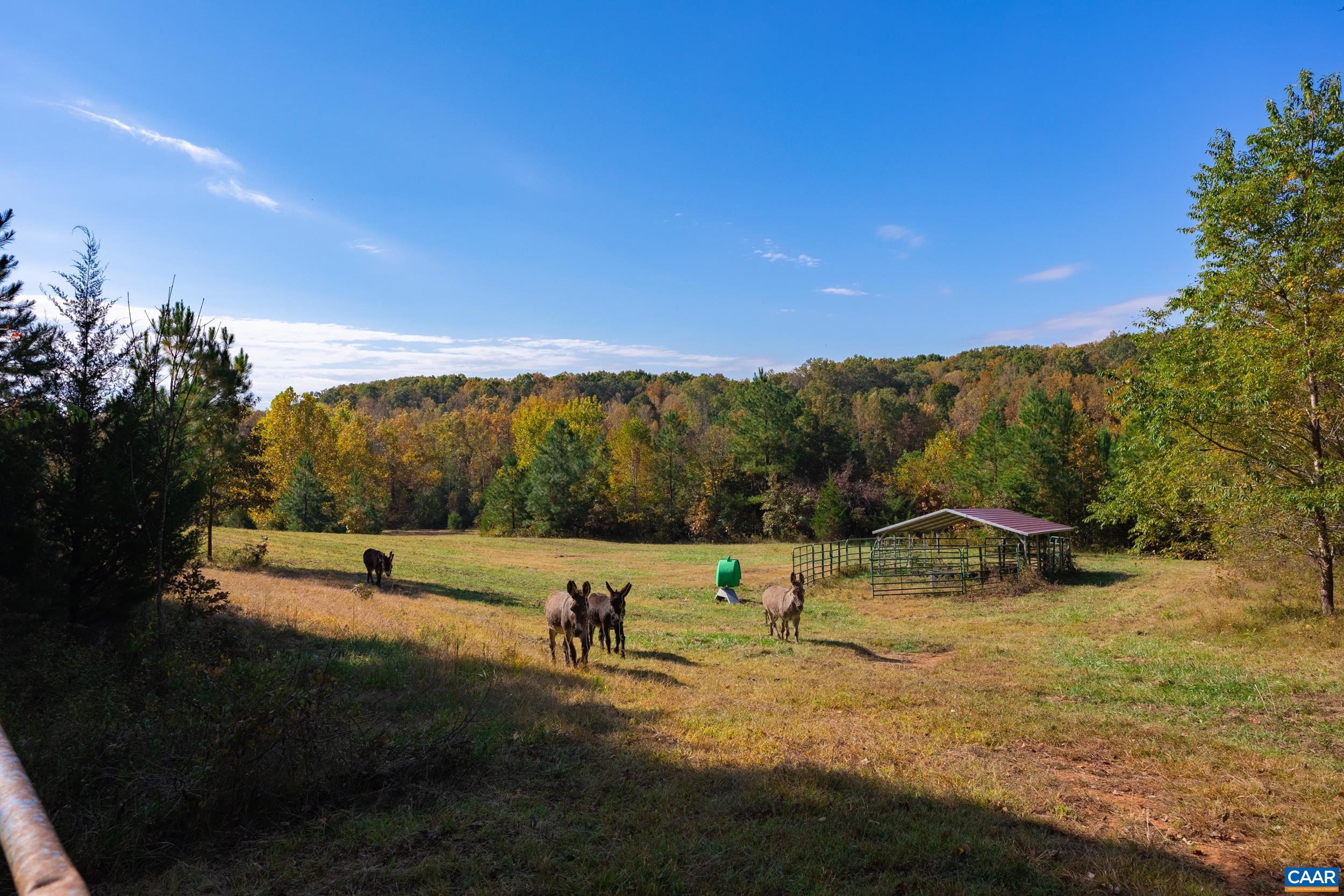 414 Finally Farm Rd #64-51, Dillwyn, Virginia, 23936 | Real Estate