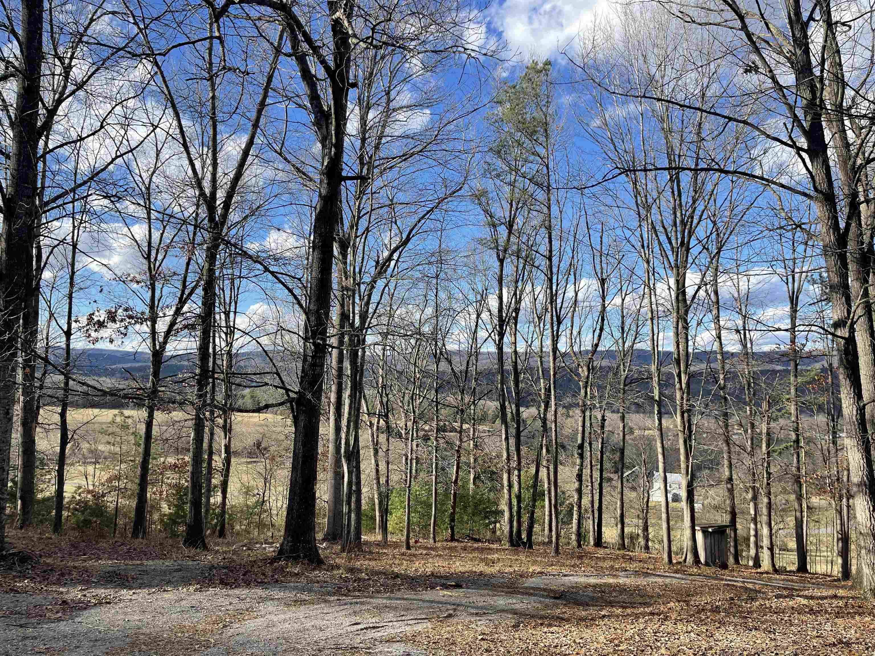 1874 Troxel Gap Rd, Craigsville, Virginia, 24430 Real Estate PlusReal
