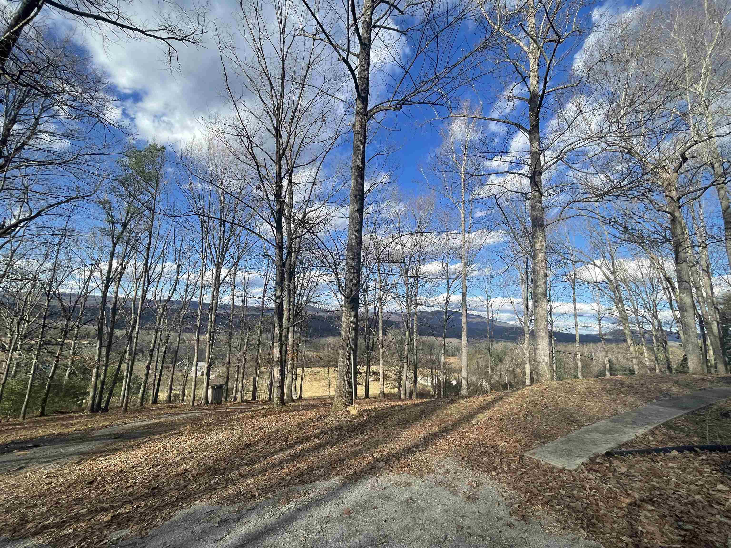 1874 Troxel Gap Rd, Craigsville, Virginia, 24430 Real Estate PlusReal