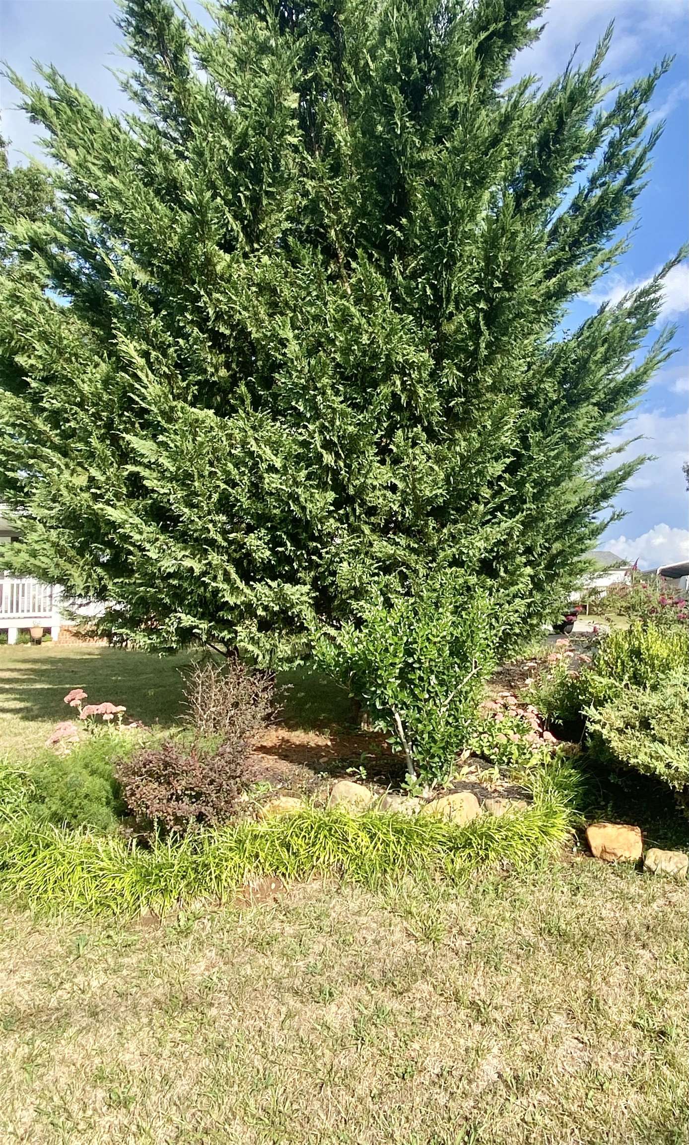 938 Patton Farm Rd, Stuarts Draft, Virginia, 24474 Real Estate