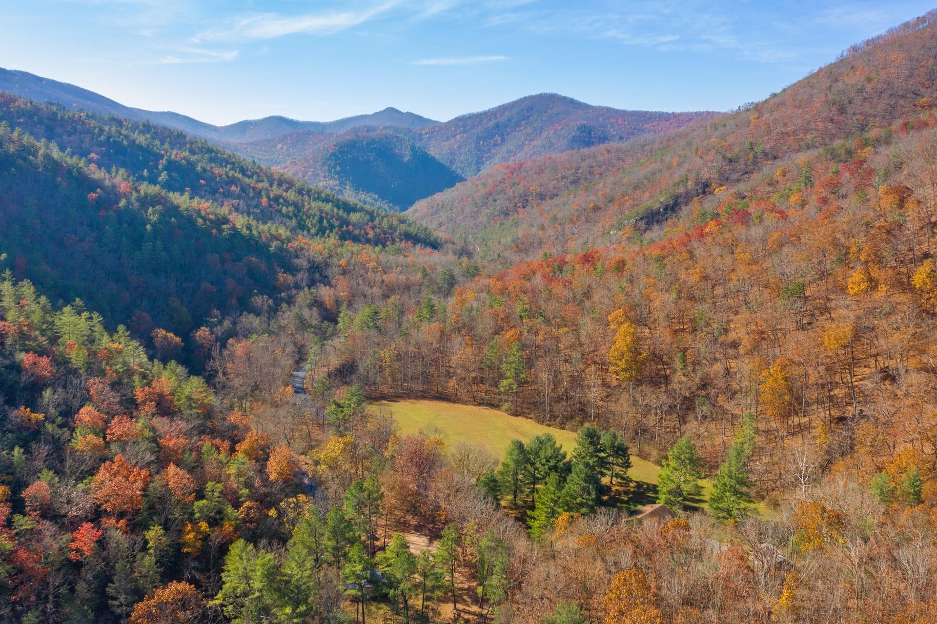 1837 Irish Creek Rd, Vesuvius, Virginia, 24483 Real Estate PlusReal