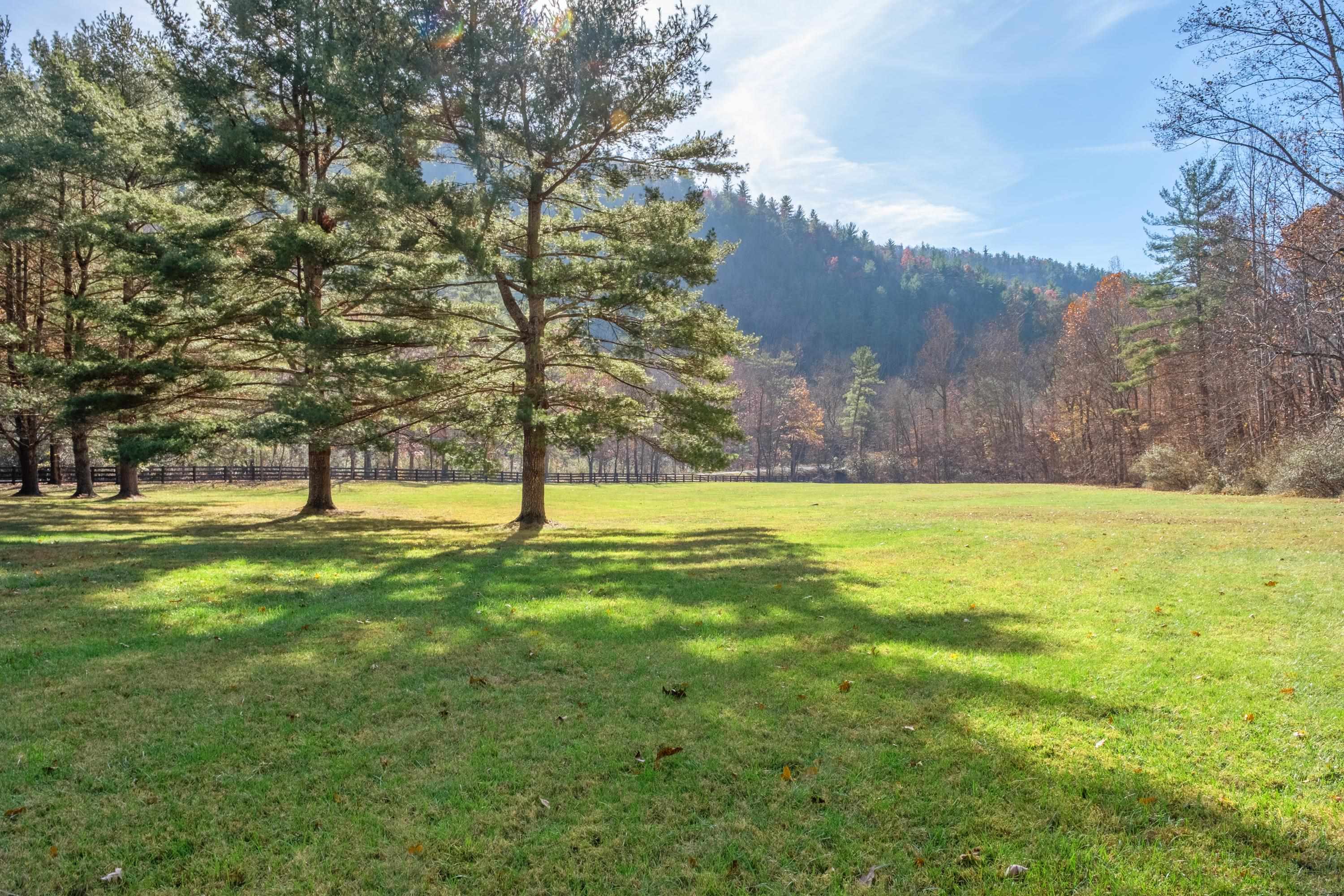 1837 Irish Creek Rd, Vesuvius, Virginia, 24483 Real Estate PlusReal