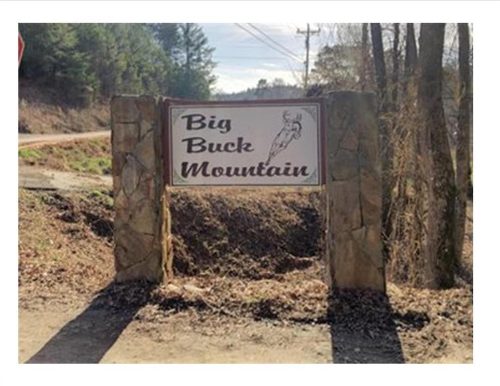 319 Big Buck Mountain, Ellijay, GA, 30540 Beacham & Company, Realtors
