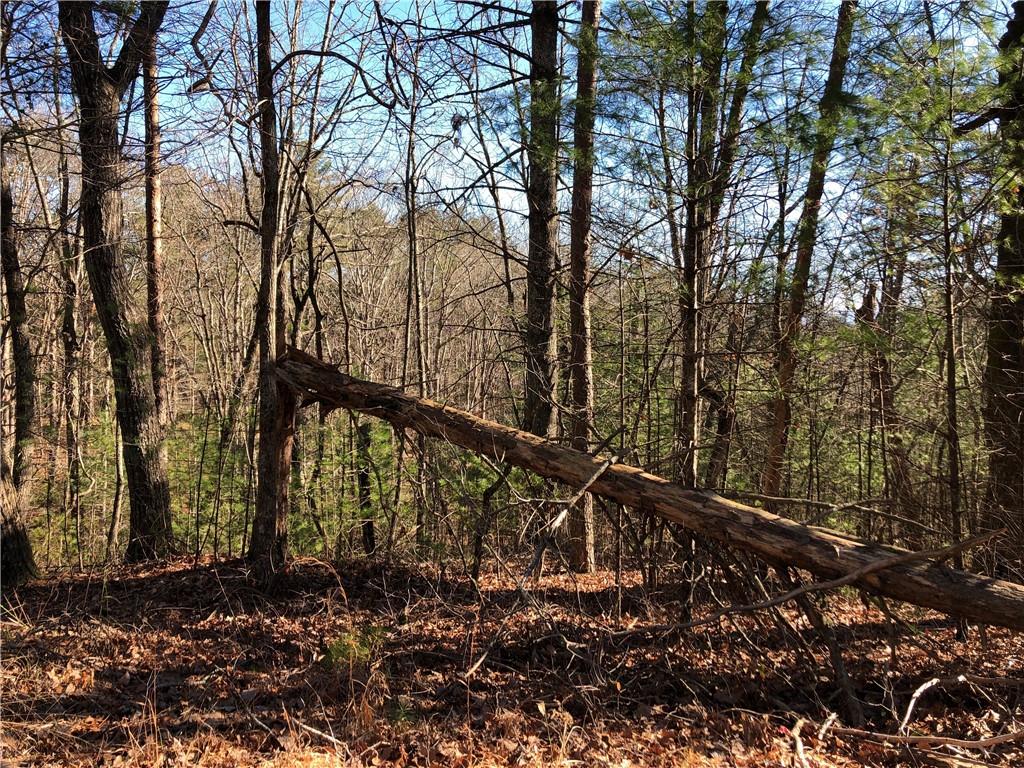 319 Big Buck Mountain, Ellijay, GA, 30540 Beacham & Company