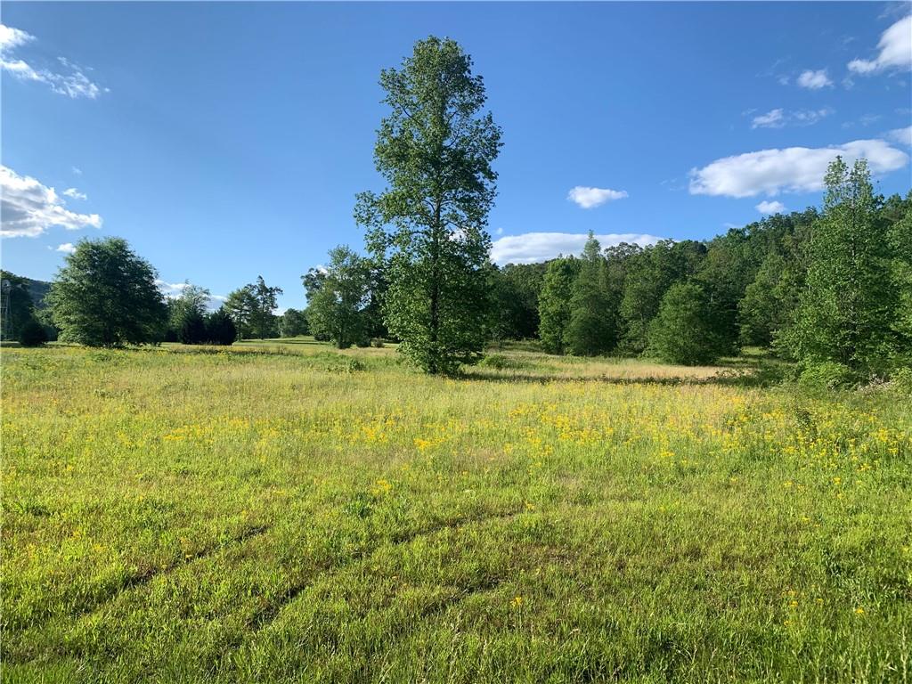 4802 Sugar Valley Road, Sugar Valley, GA, 30746 Beacham & Company