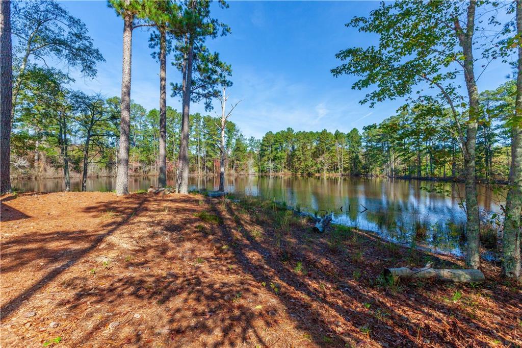 8735 Wilkerson Mill Road, Chattahoochee Hills, GA, 30268 Ansley Atlanta