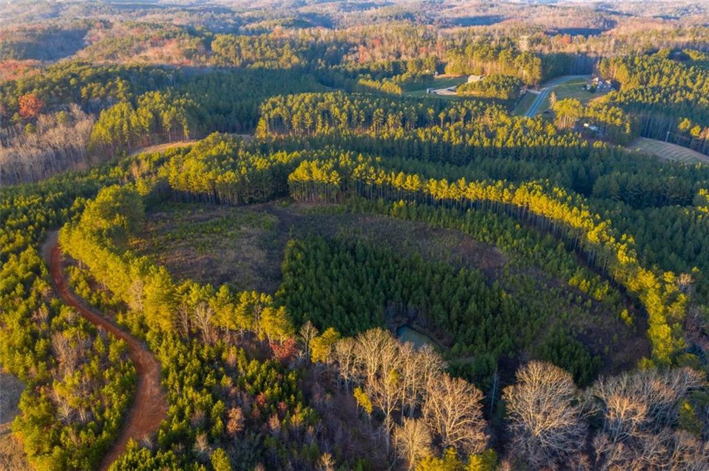 1668 Garland Mountain Trail, Waleska, GA, 30183 Beacham & Company