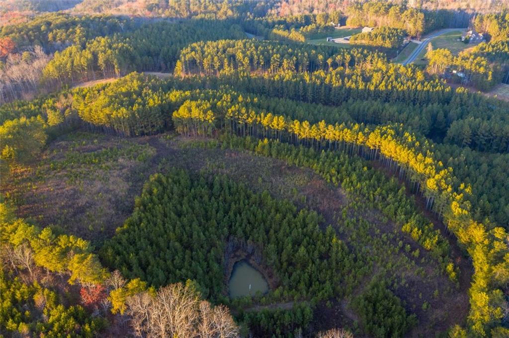 1668 Garland Mountain Trail, Waleska, GA, 30183 Beacham & Company