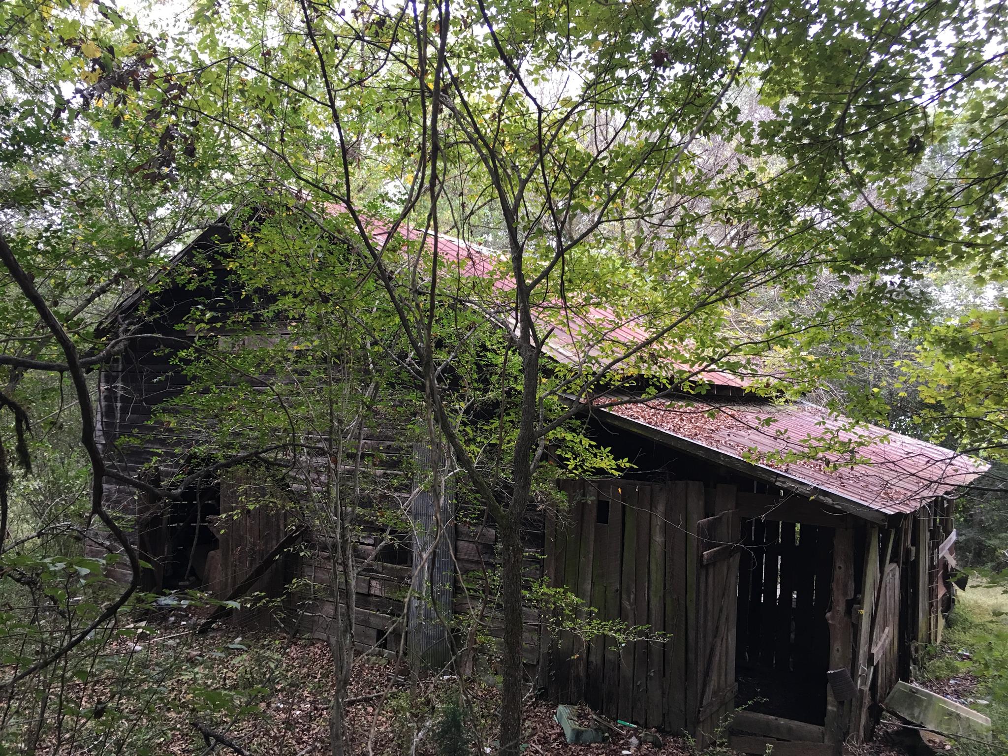 1085 Wayland Springs Rd, Iron City, Tennessee, 38463 Fridrich & Clark