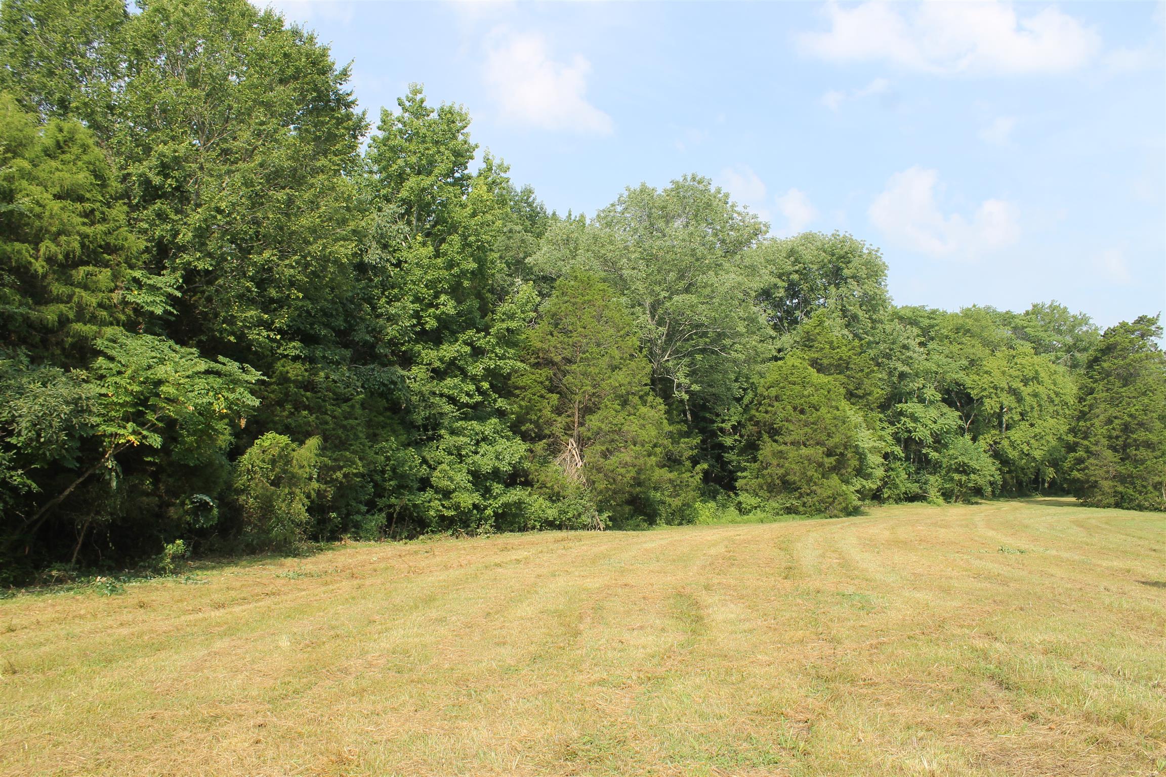 2154 Lewisburg Pike, Franklin, Tennessee, 37064 Fridrich & Clark