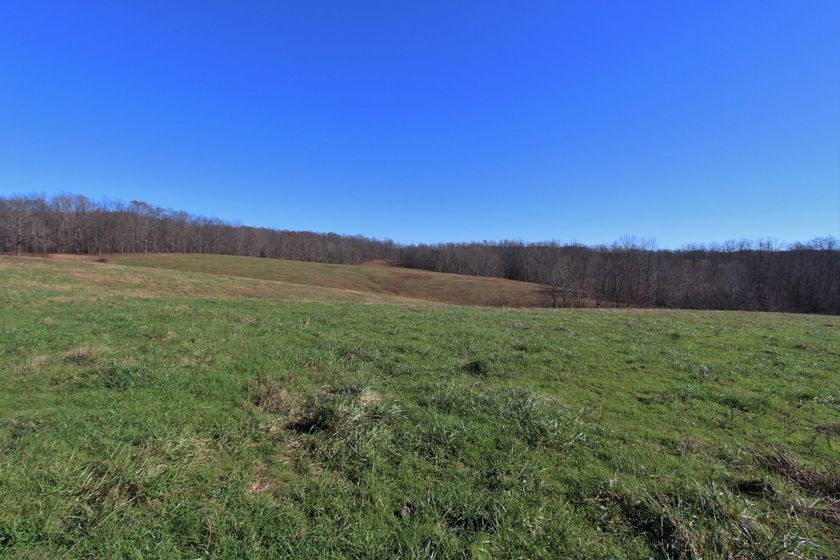 0 Dog Creek Rd, Primm Springs, Tennessee, 38476 Fridrich & Clark