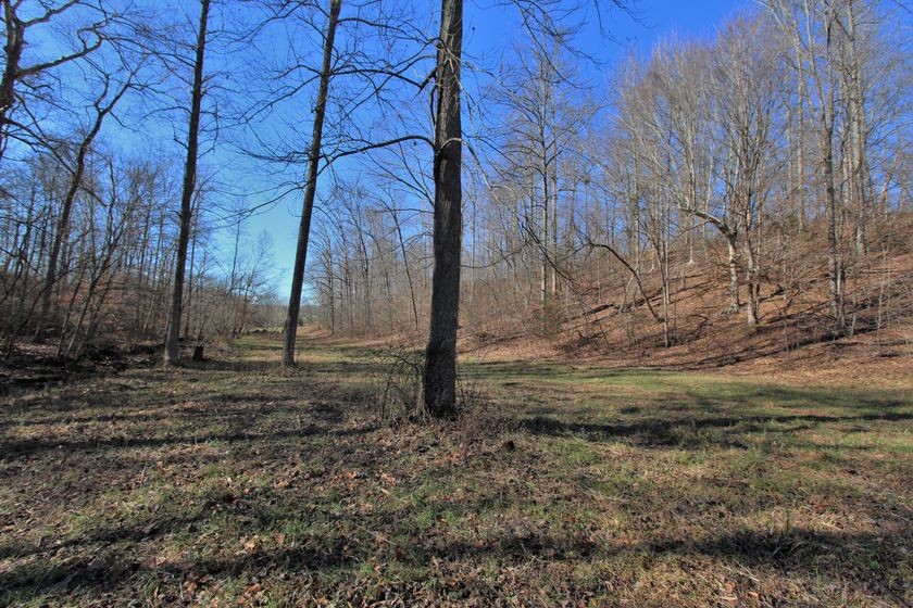 0 Dog Creek Rd, Primm Springs, Tennessee, 38476 Fridrich & Clark