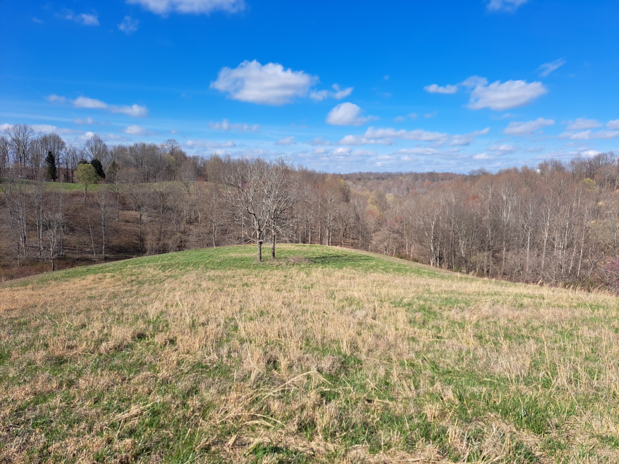 0 Fargo Lane, Hartsville, Tennessee, 37074 Fridrich & Clark